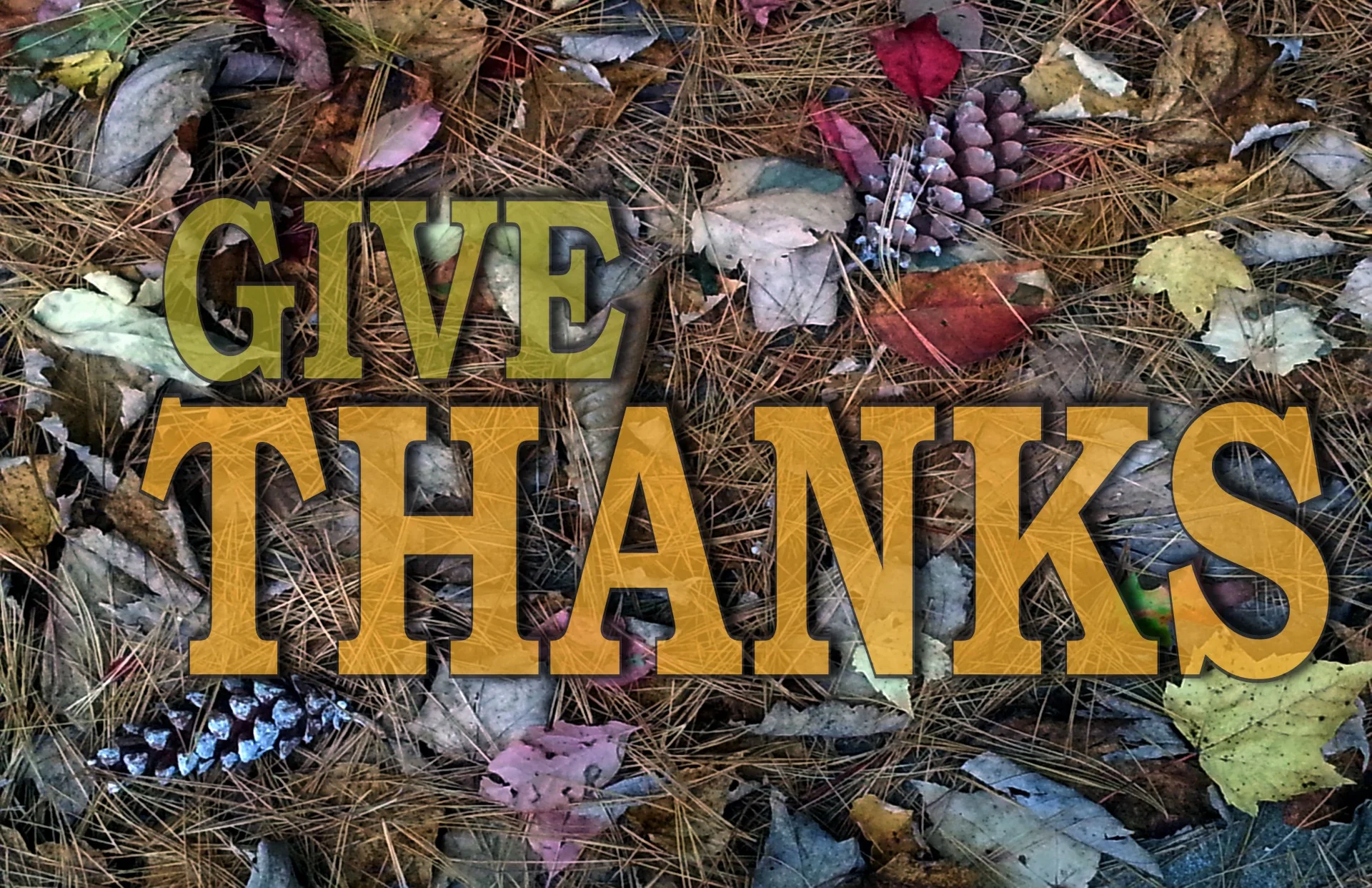 HAPPY THANKSGIVING!