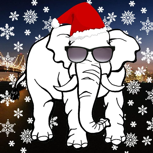 Youth Christmas Party