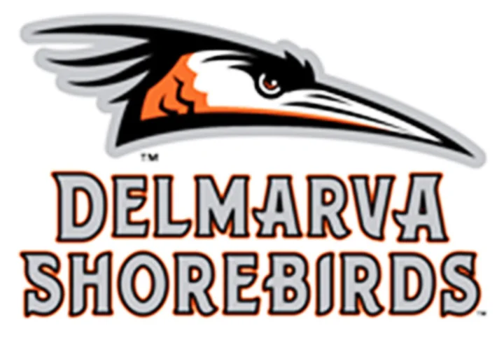 Shore Harvest at the Shorebirds!