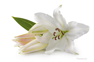 WORSHIP - Easter Sunday