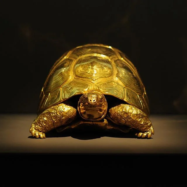 #damienhirst #palazzograssi #tortoise