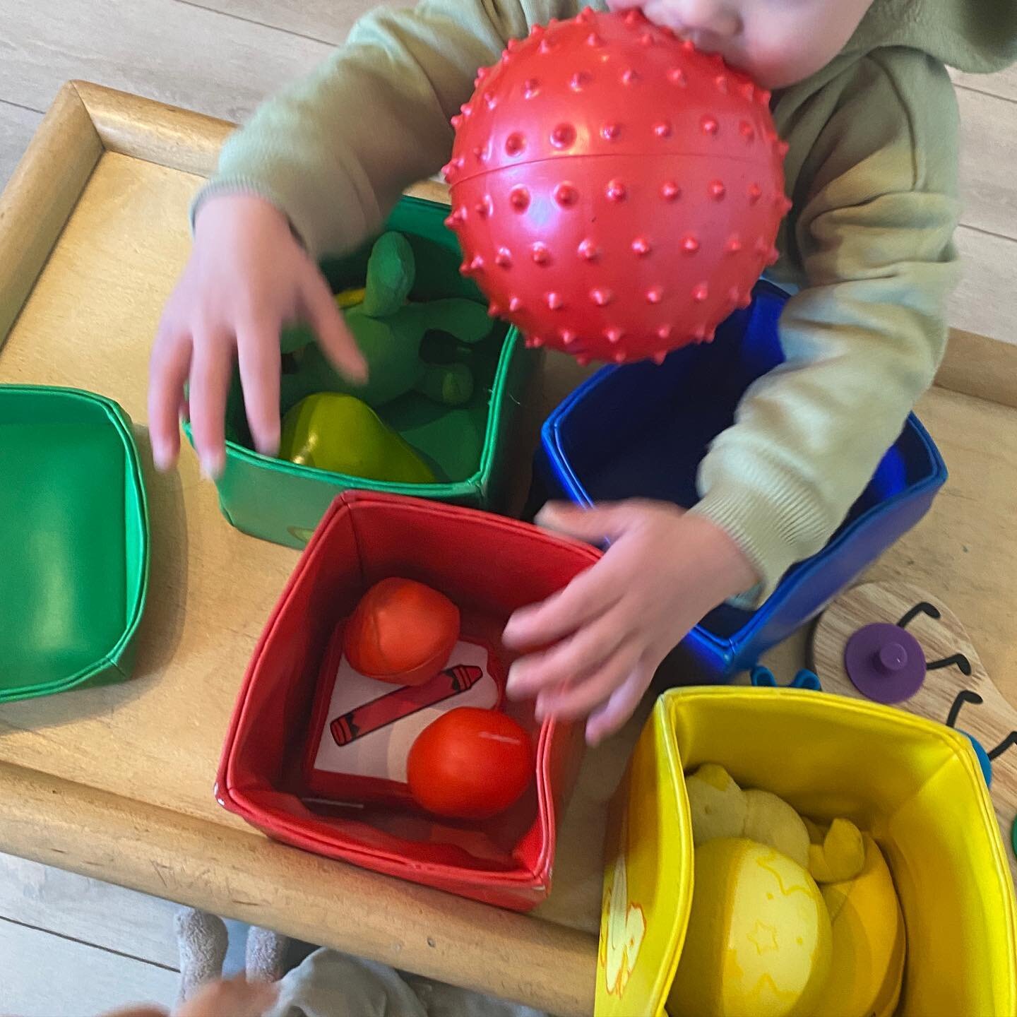 Toy in the mouth? No problem! 

It&rsquo;s developmentally appropriate to put ALL THE TOYS in our mouths when we are young, that&rsquo;s why we allow this exploration and put the toy straight in the dirty toy bucket when done. Cleaning and sanitizing