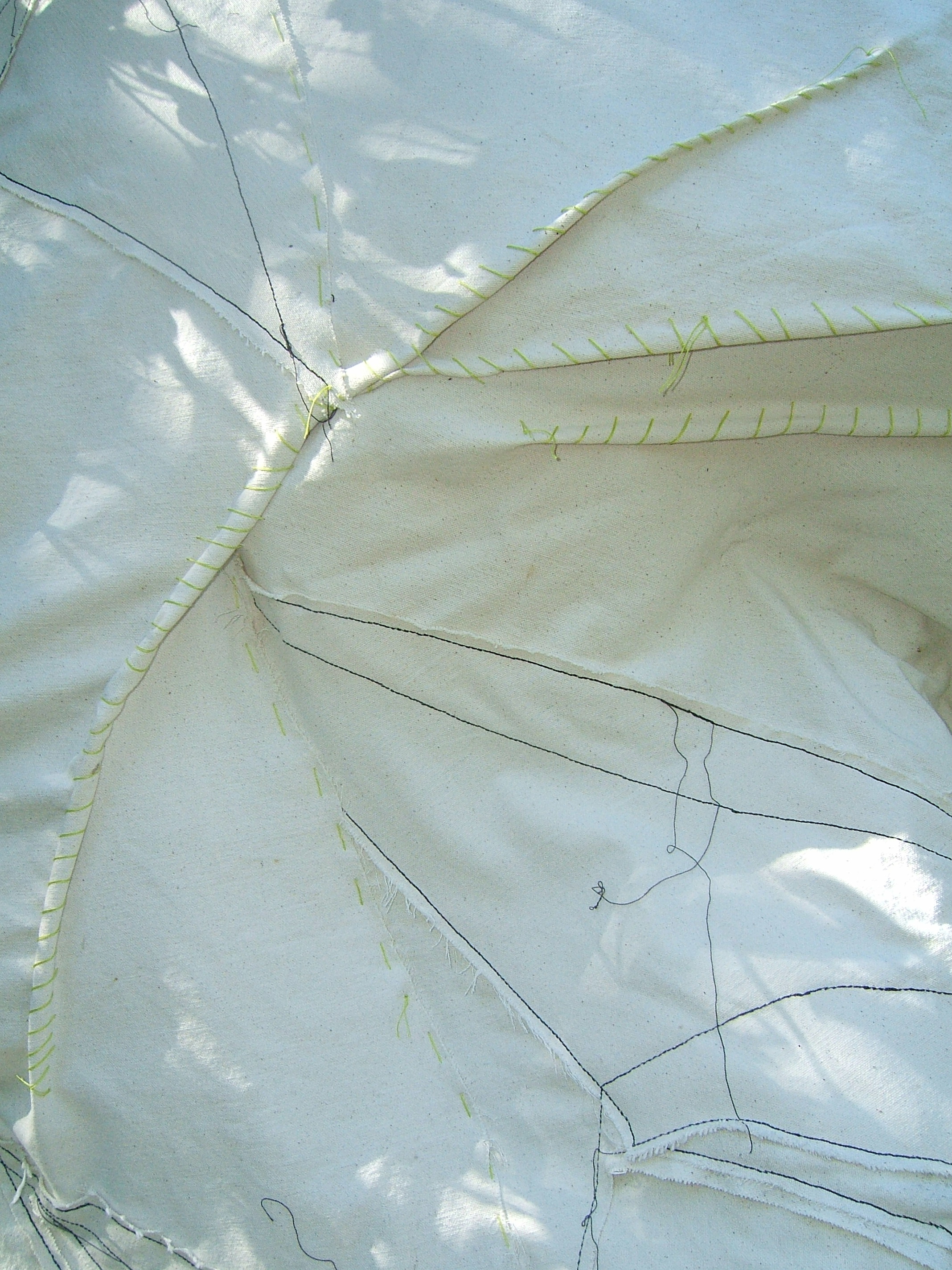 cocoon7.jpg