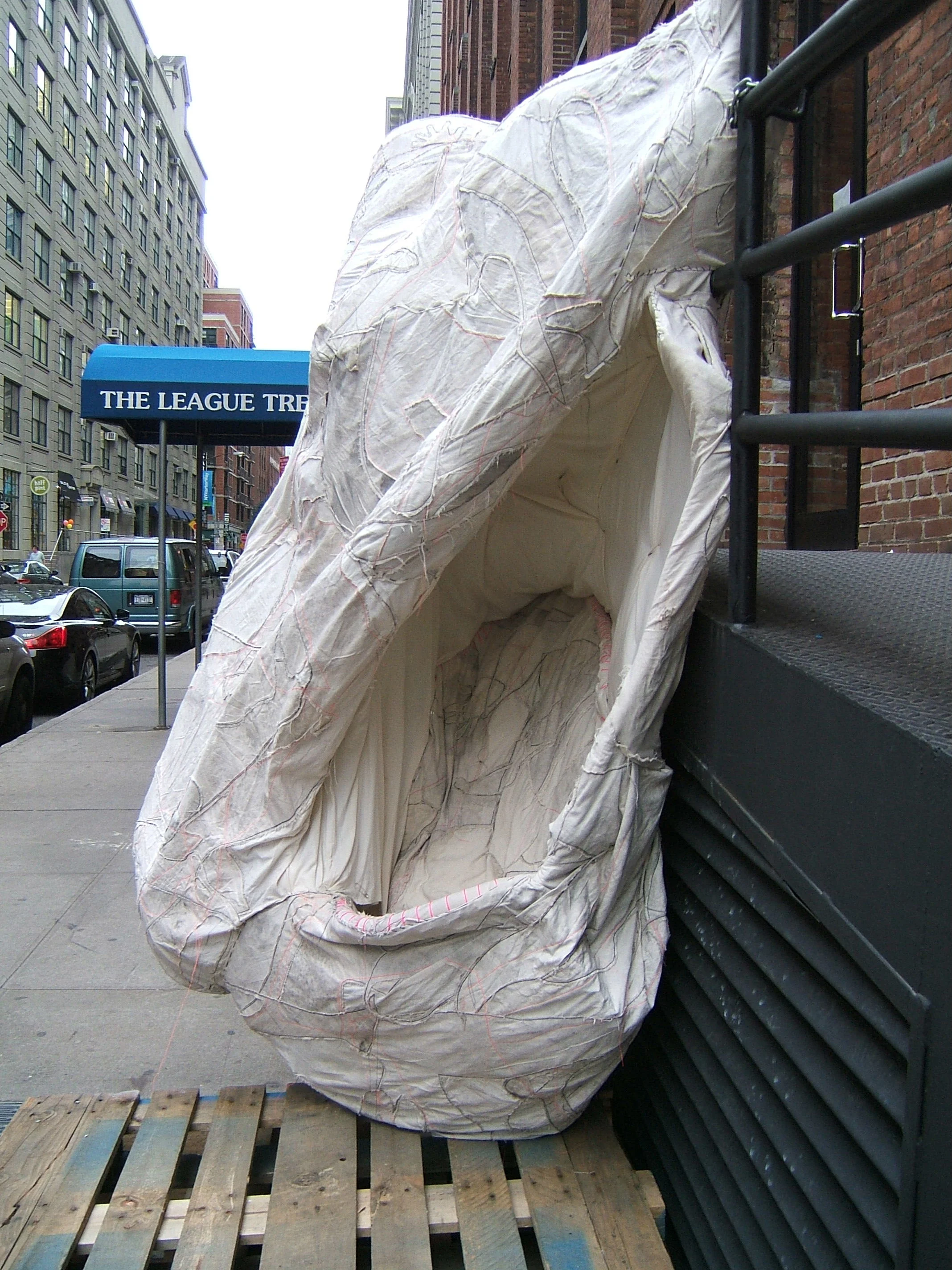cocoon24.jpg