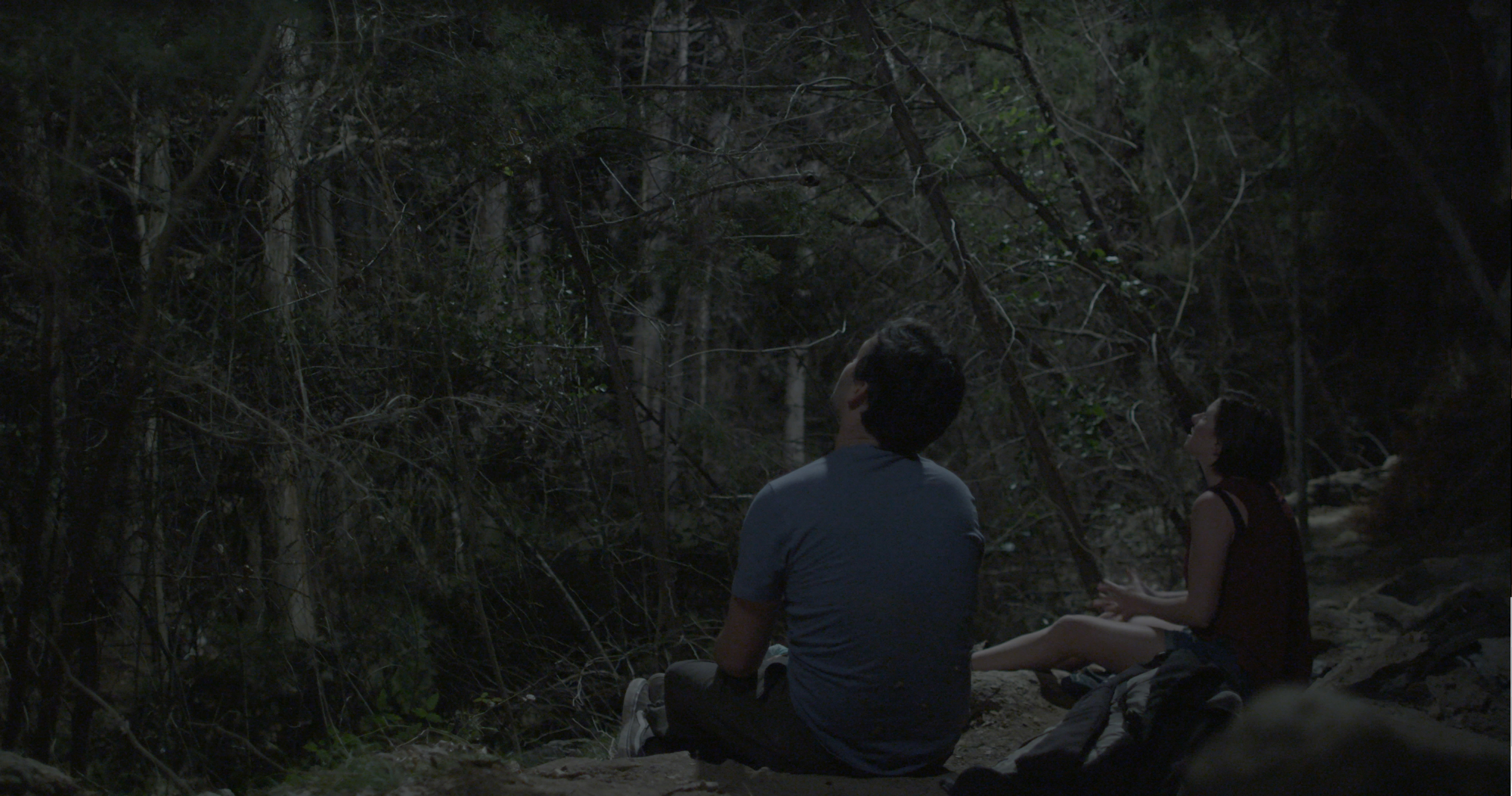 1517883295-Moonlight.jpg