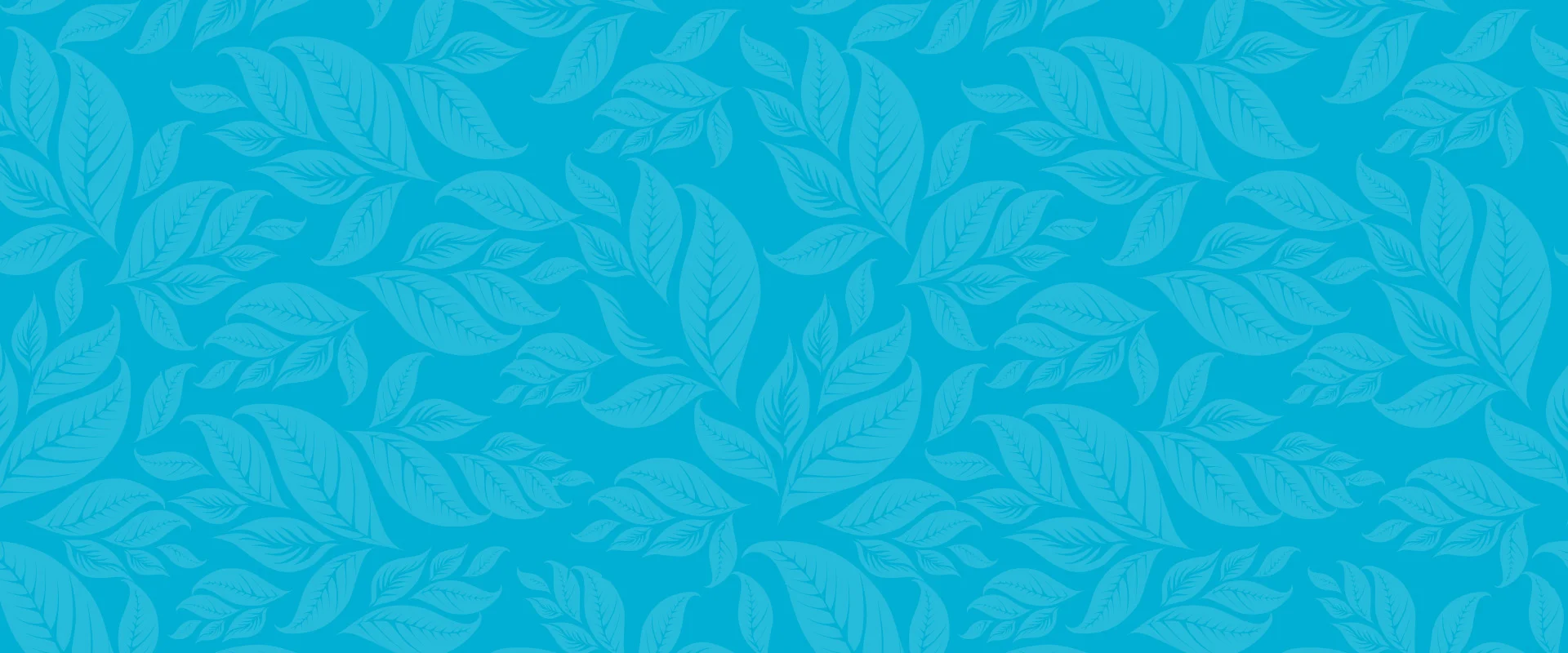 back-blue.jpg