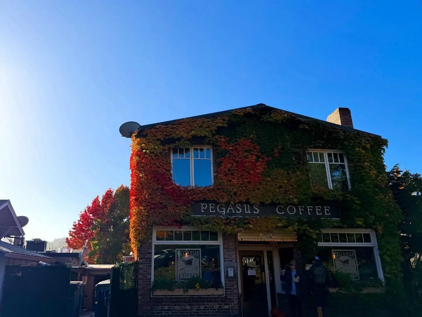 Happy @thepegasuscoffeehouse color change day to all who celebrate ❤️🧡💛💚
The perfect day for brainstorming over coffee on exciting projects on beautiful Bainbridge Island.