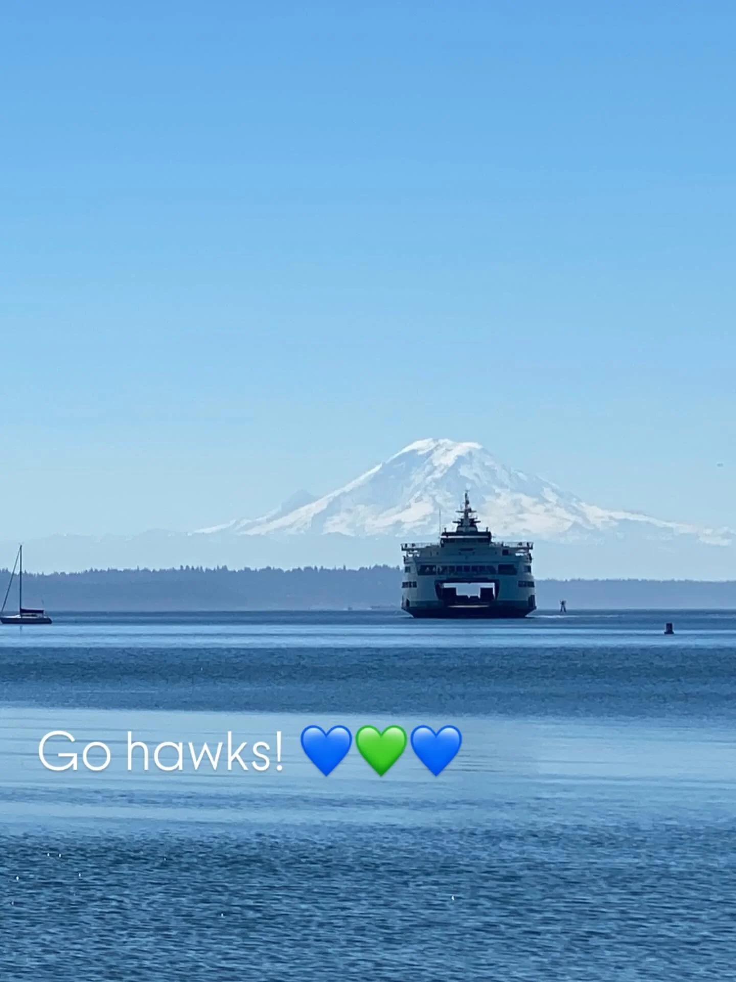 Let&rsquo;s go Seahawks! 💚💙💚