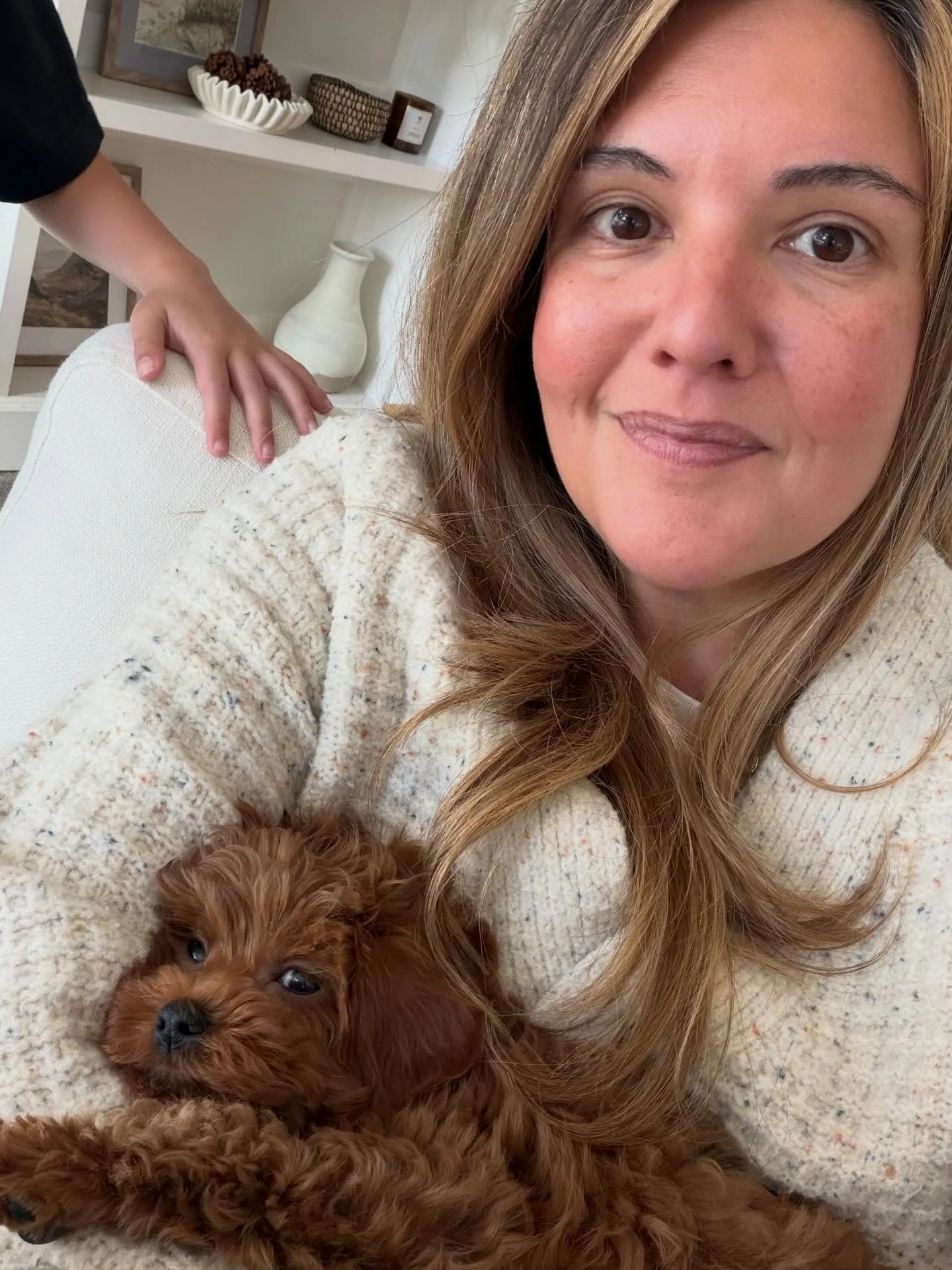 Did you know it&rsquo;s #nationalpuppyday 
Meet Paddington, our new toy Cavapoo, stealing hearts and romping like a little lamb. We&rsquo;re definitely obsessed. Feel free to follow his adventures on @paddingtononbainbridge 
#nationalpuppyday🐶 #fyp 
