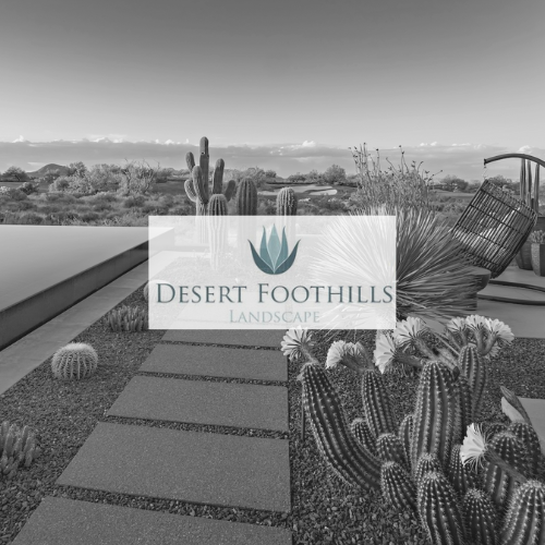 Desert Foothills Landscape