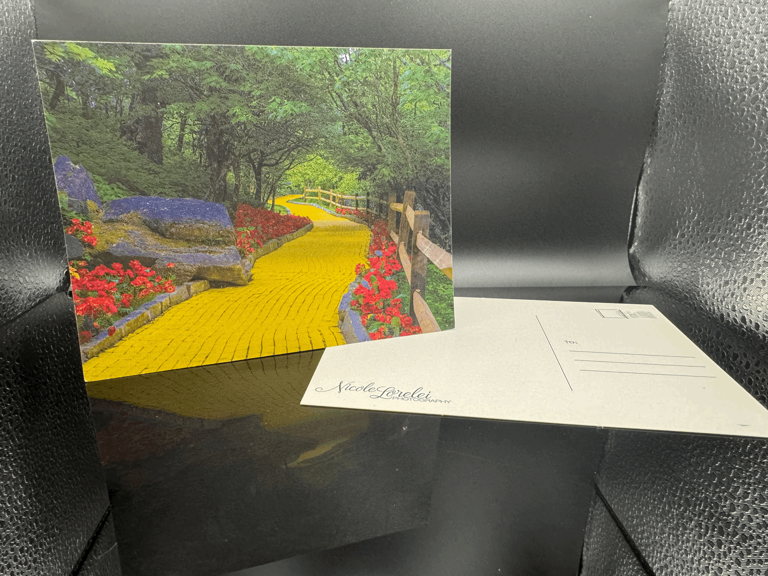 tempImageQS6vOt.gif