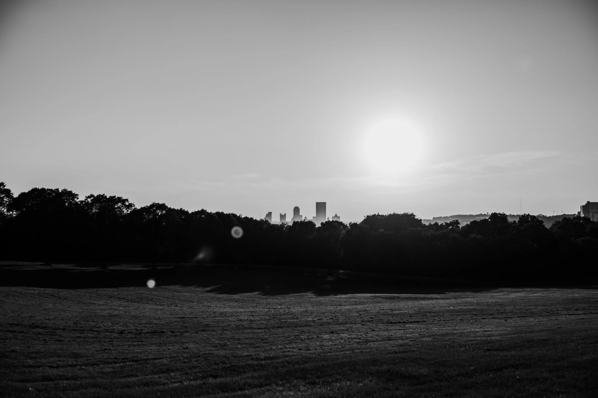 schenleypark25.jpg