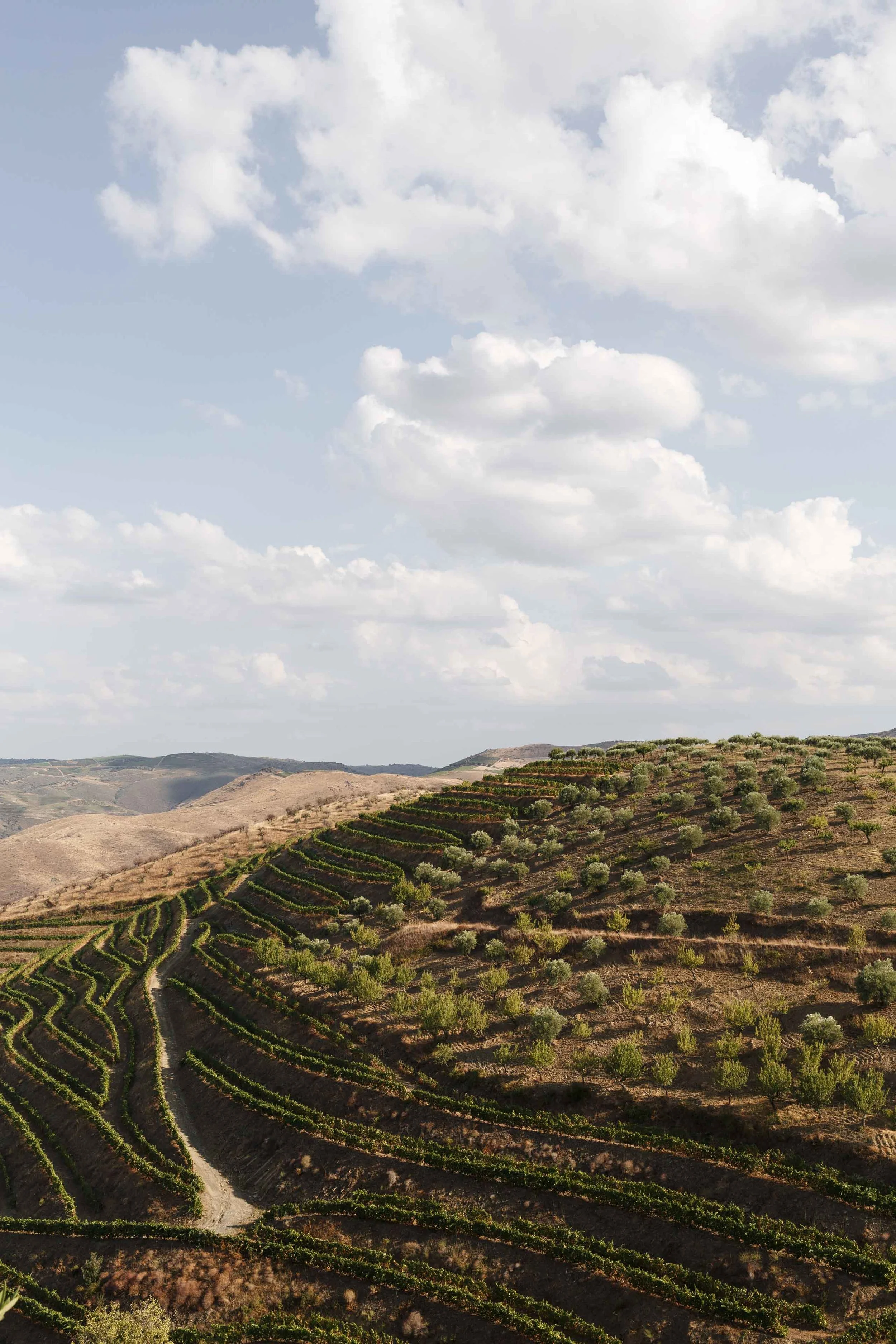 UNCOVR-JOURNEY-PORTUGAL-CREDIT FRANCIS RUDMAN.jpg