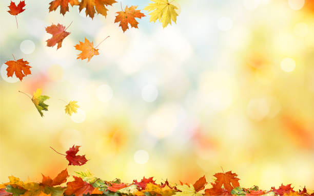 October Yin & Reiki in Huntington