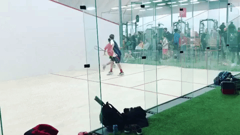 infinitum squash jct.gif