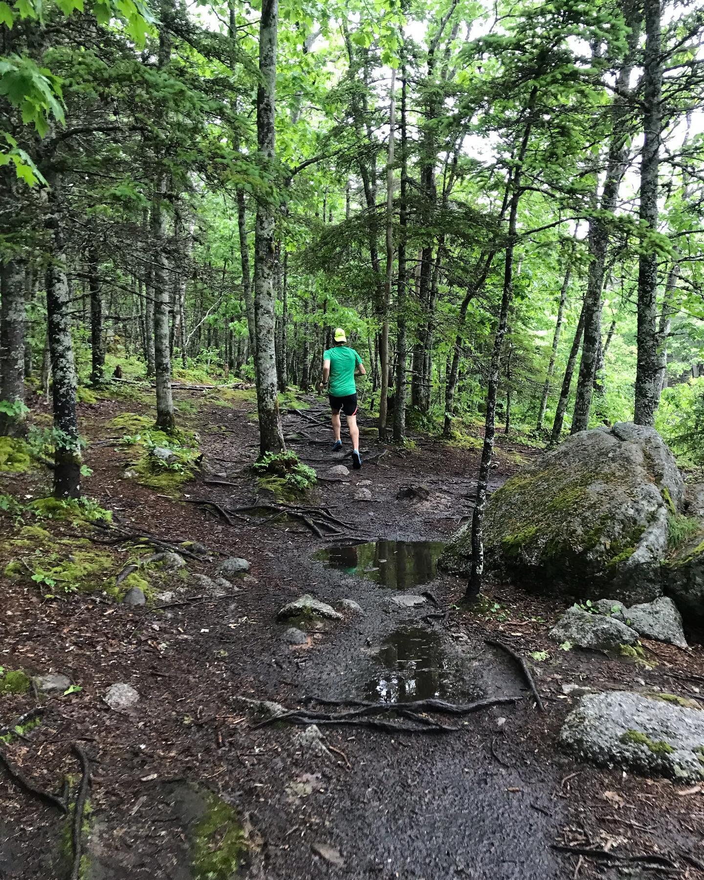 Mud, glorious mud! Counting down the days until we&rsquo;re running lots of beautiful kms at @qcmegatrail 🏃&zwj;♀️☀️🏃&zwj;♂️🙌

#trailrunning #ultrarunning #weeeee #qmt2022 #runrunrun #funfunfun #timetoplay