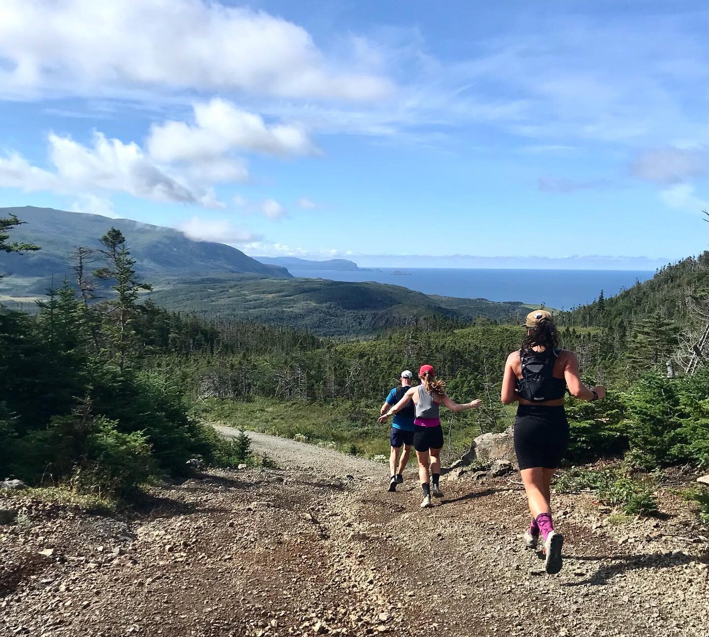 Trout River to Chimney Cove 

A beautiful day with incredible views, great company, and lots of animals (cows, horses and moose&hellip;oh my!). Peacefully floating in the ocean swell on a mid-run dip is a pretty magical experience. 

Thanks for the a