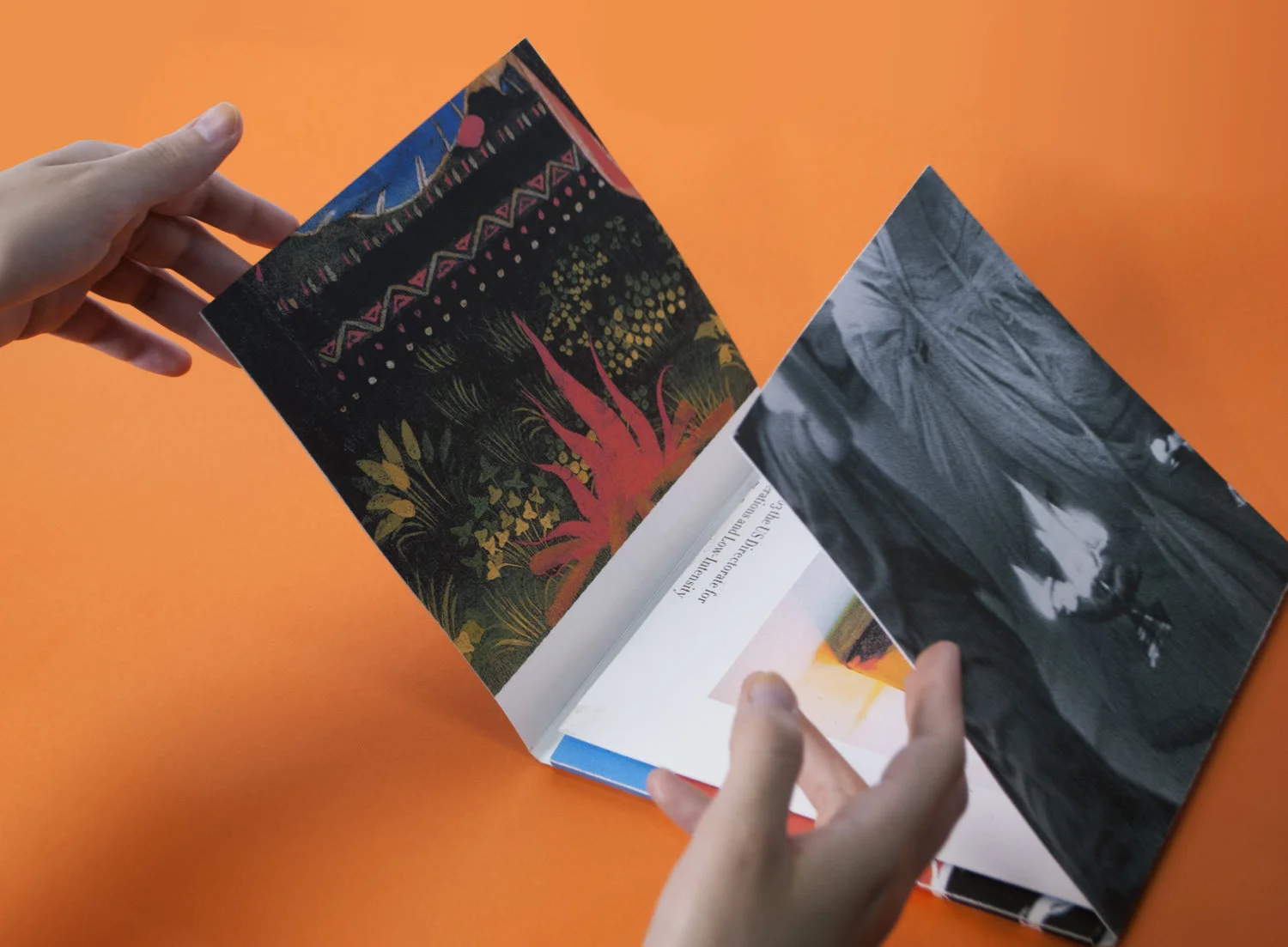 janie_sanchez_decker_book_1.jpg