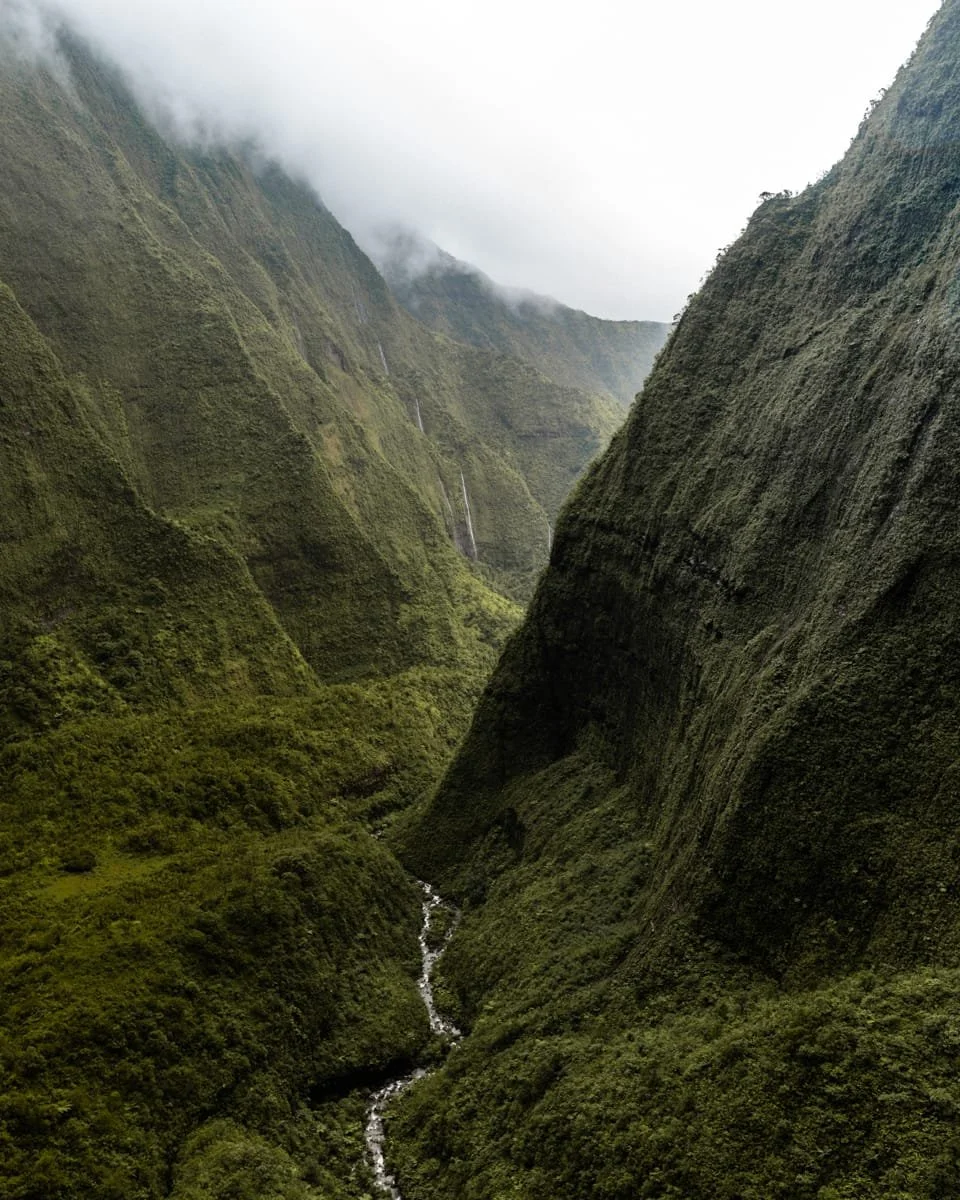 CSP_Waialeale_Valley_Sized1200.jpg
