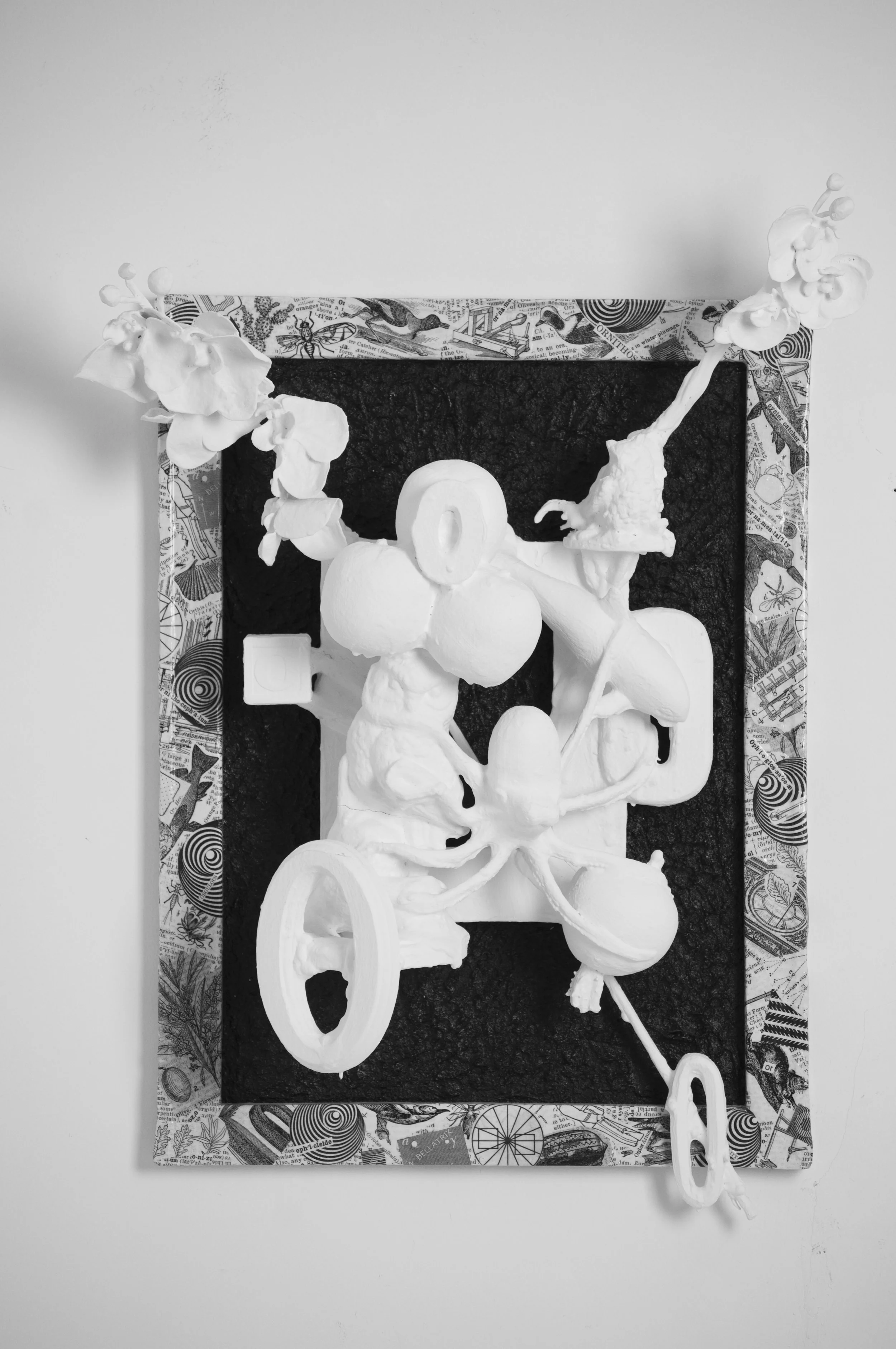 "O is for…"