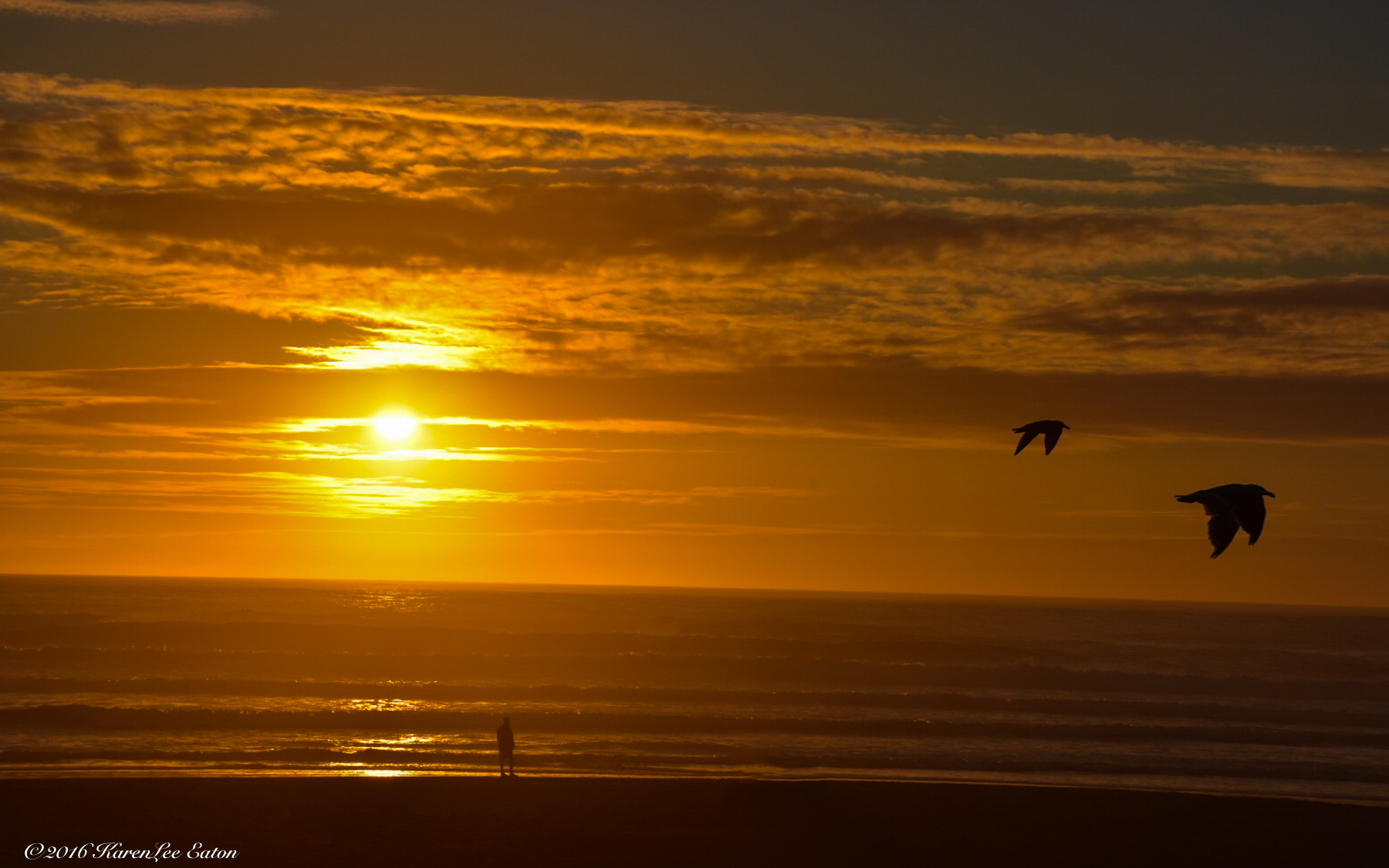 Sunset for Gulls (Cannon Beach)