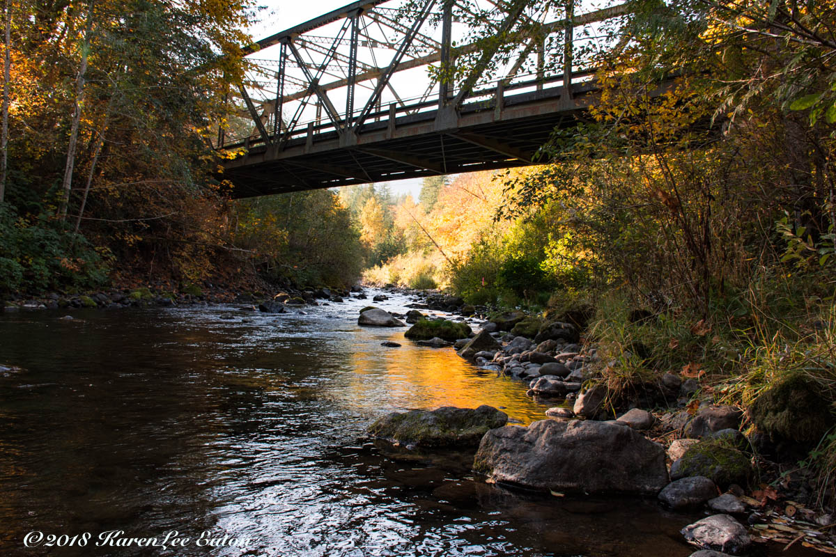 Fall comes to Quil River Bridge