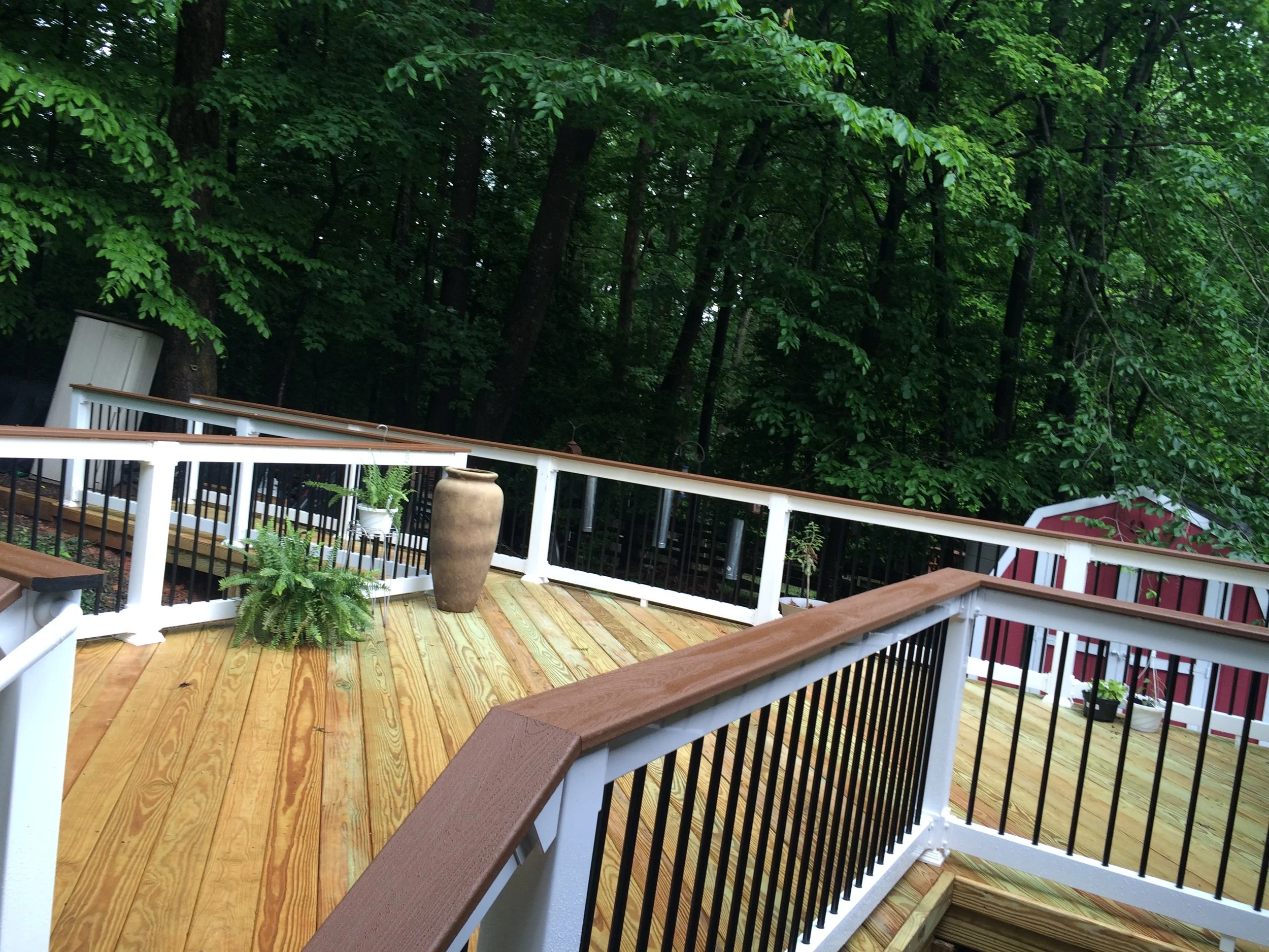 IMG_7762.JPG