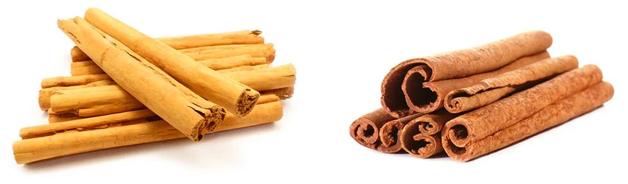 Ceylon cinnamon (left) vs. Cassia cinnamon (right)