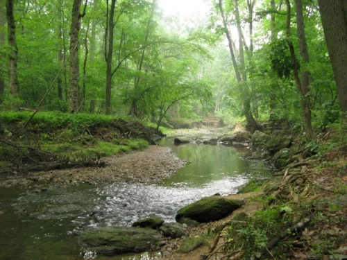 Water sampling from Paint Branch was also my classwork.