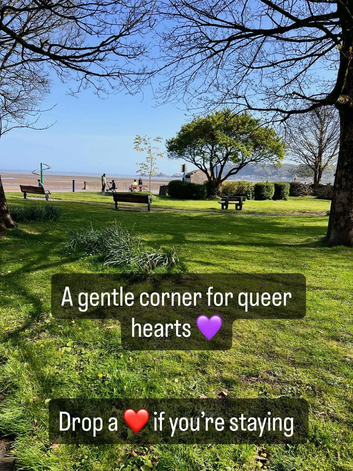 Welcome to a gentle, judgment-free corner of the internet.
For the LGBT+ community and anyone craving a bit of peace and connection.
Drop a ❤️ if you&rsquo;re staying 💛