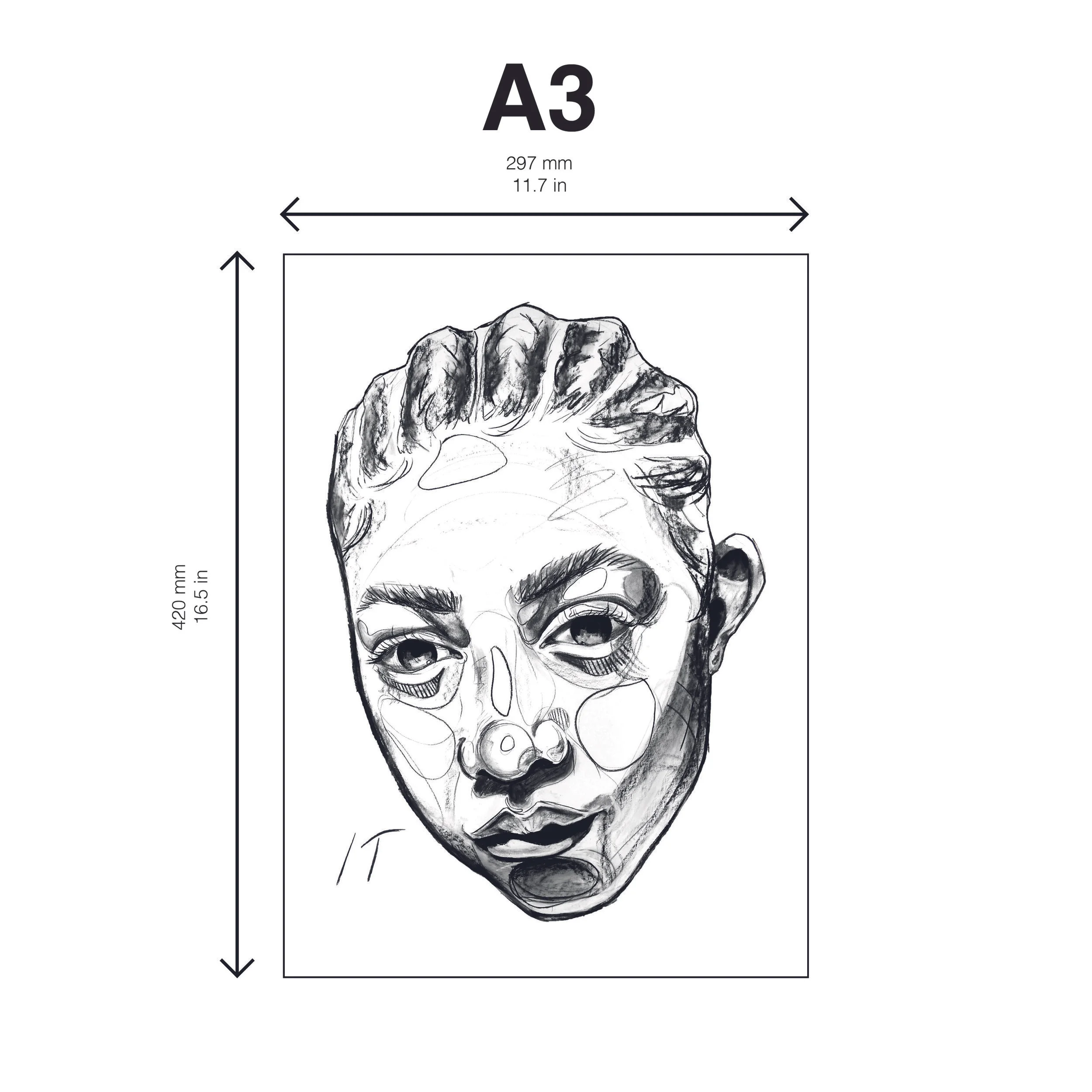 Untitled-A3 Dimensions.jpg