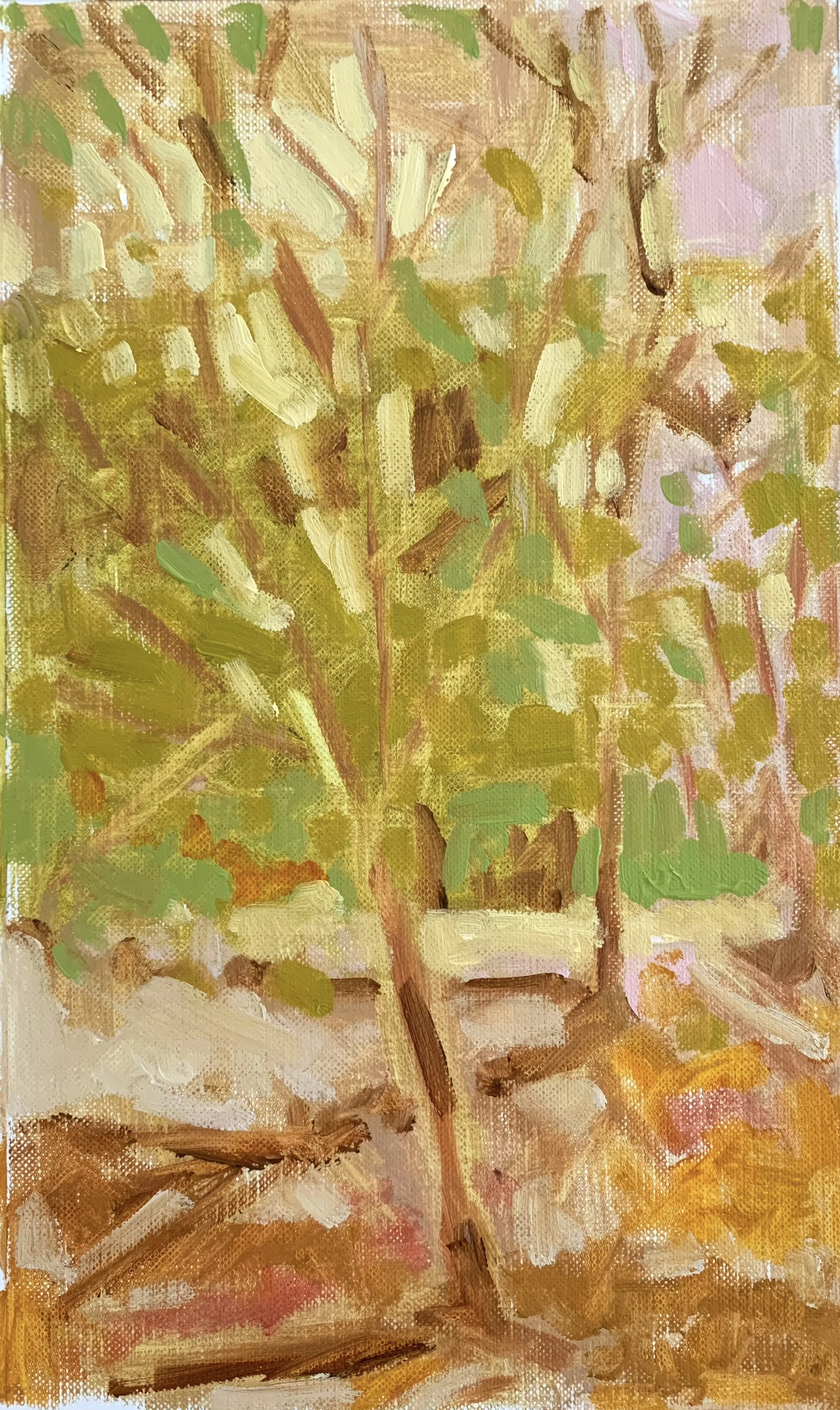Morning Walk II, 16x11