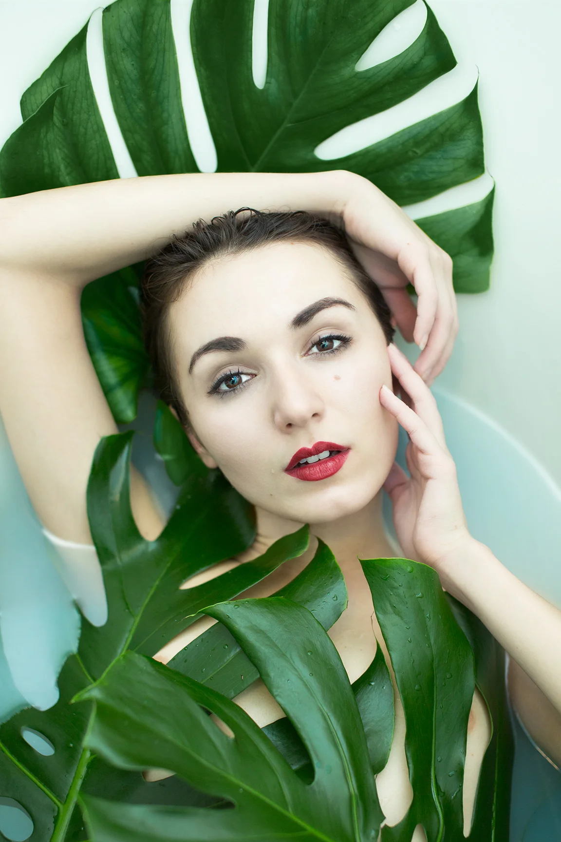 Photographer- Andrew Bacha