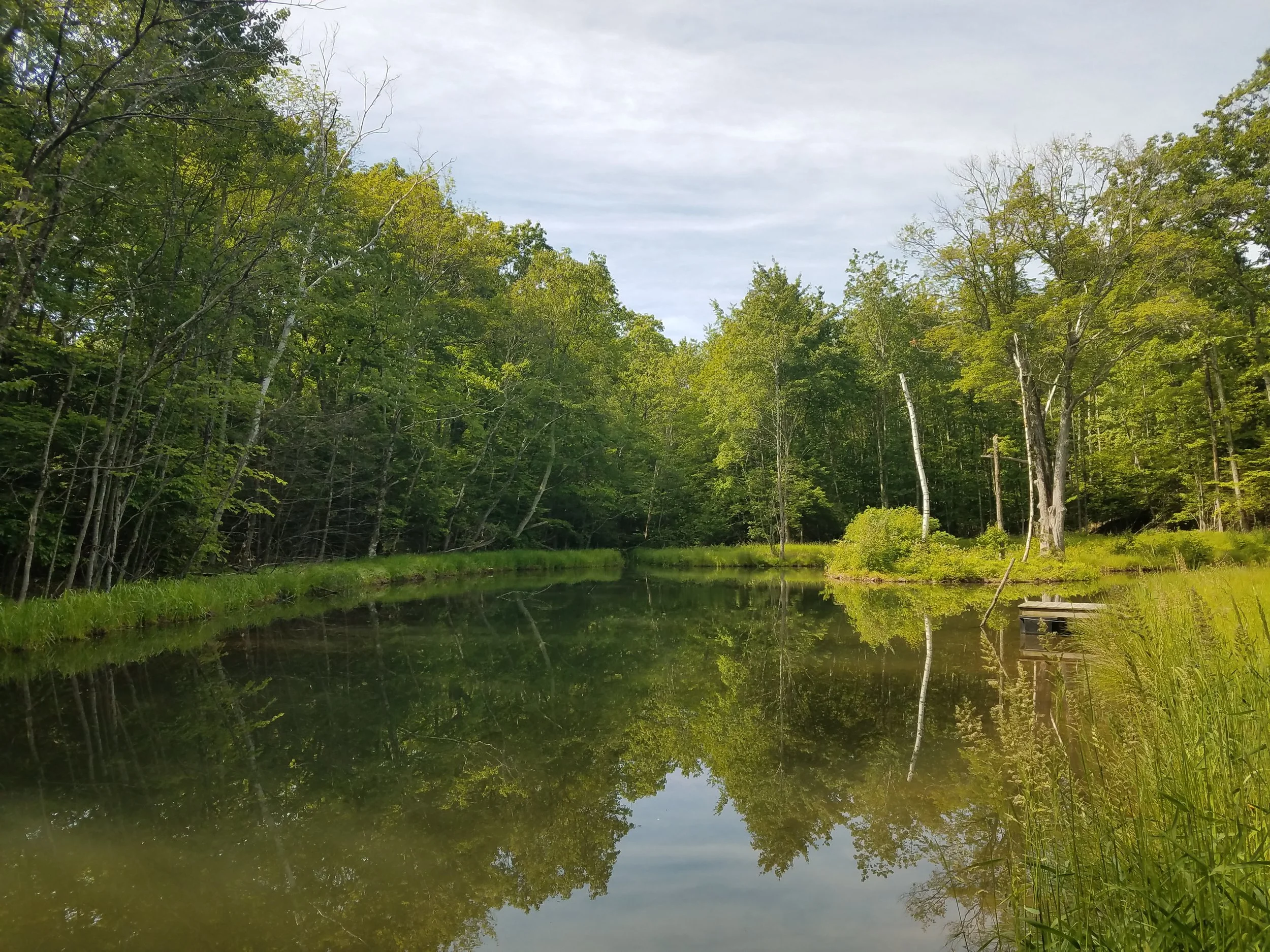 20170608_095941.jpg