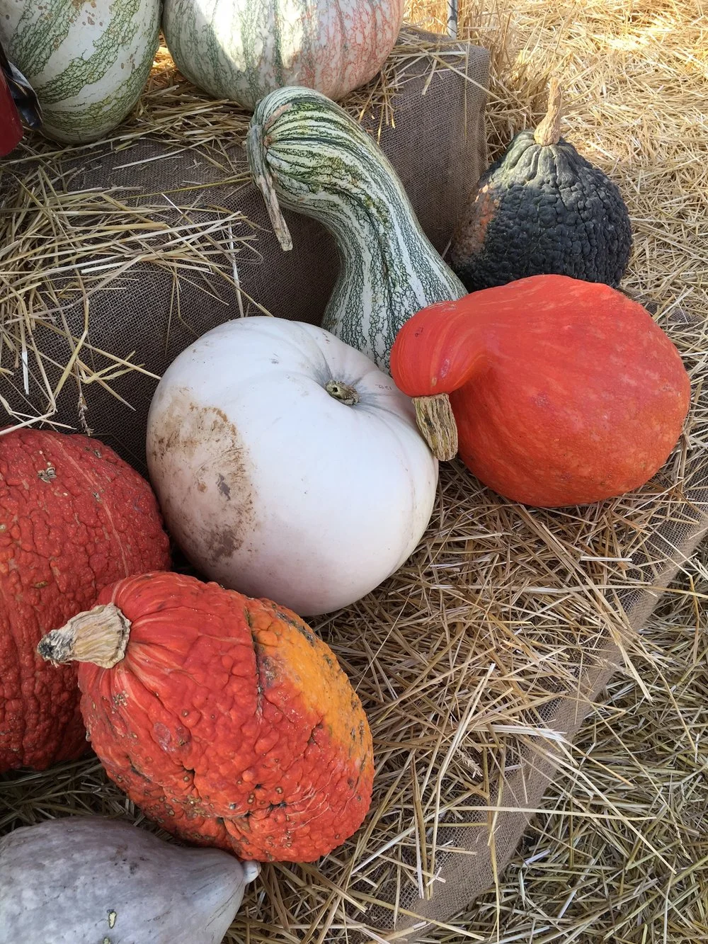 Thanksgiving Hours - 2017