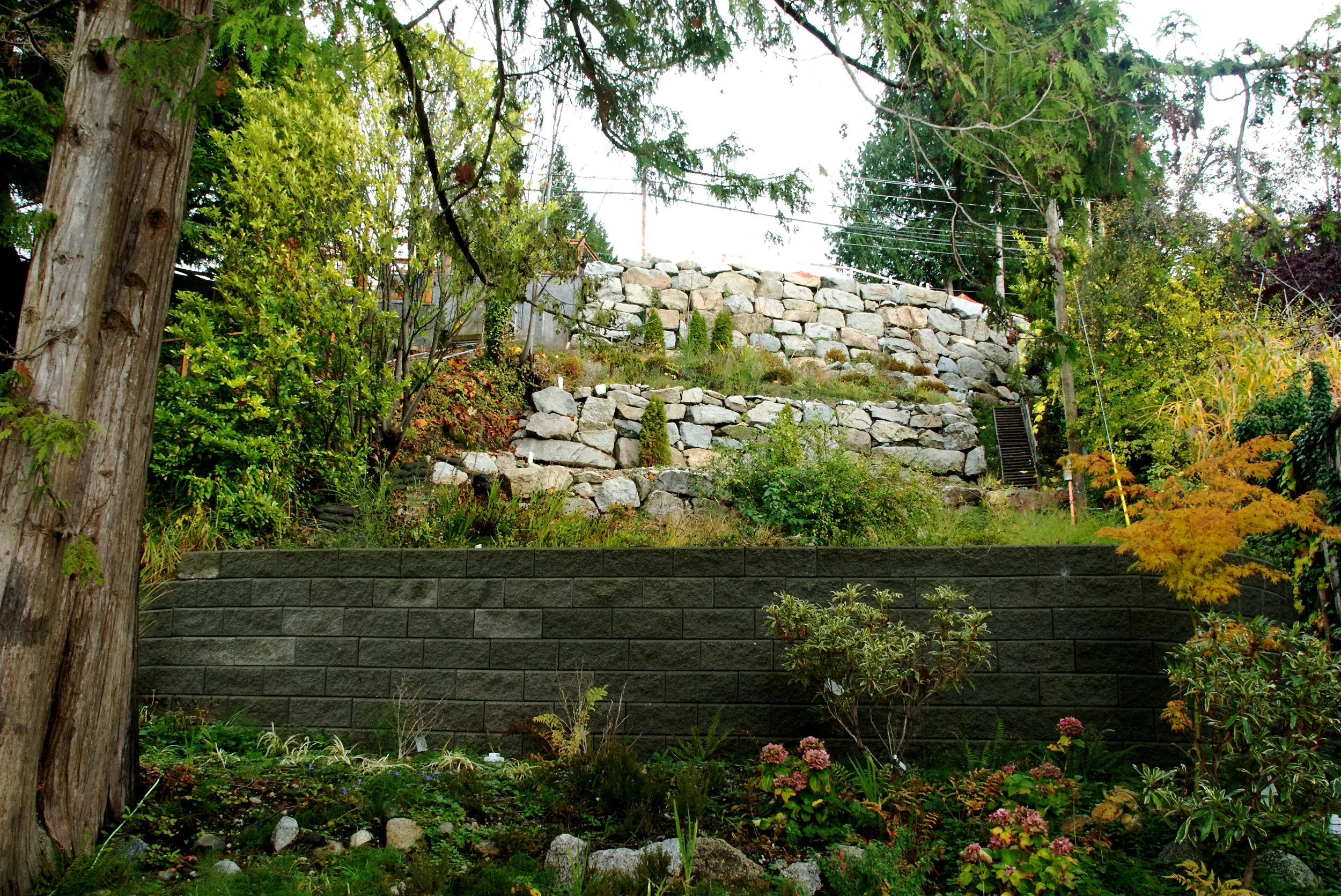 Reid+Pelly+Construction-+1st+shoot+(test)+-+10.jpg