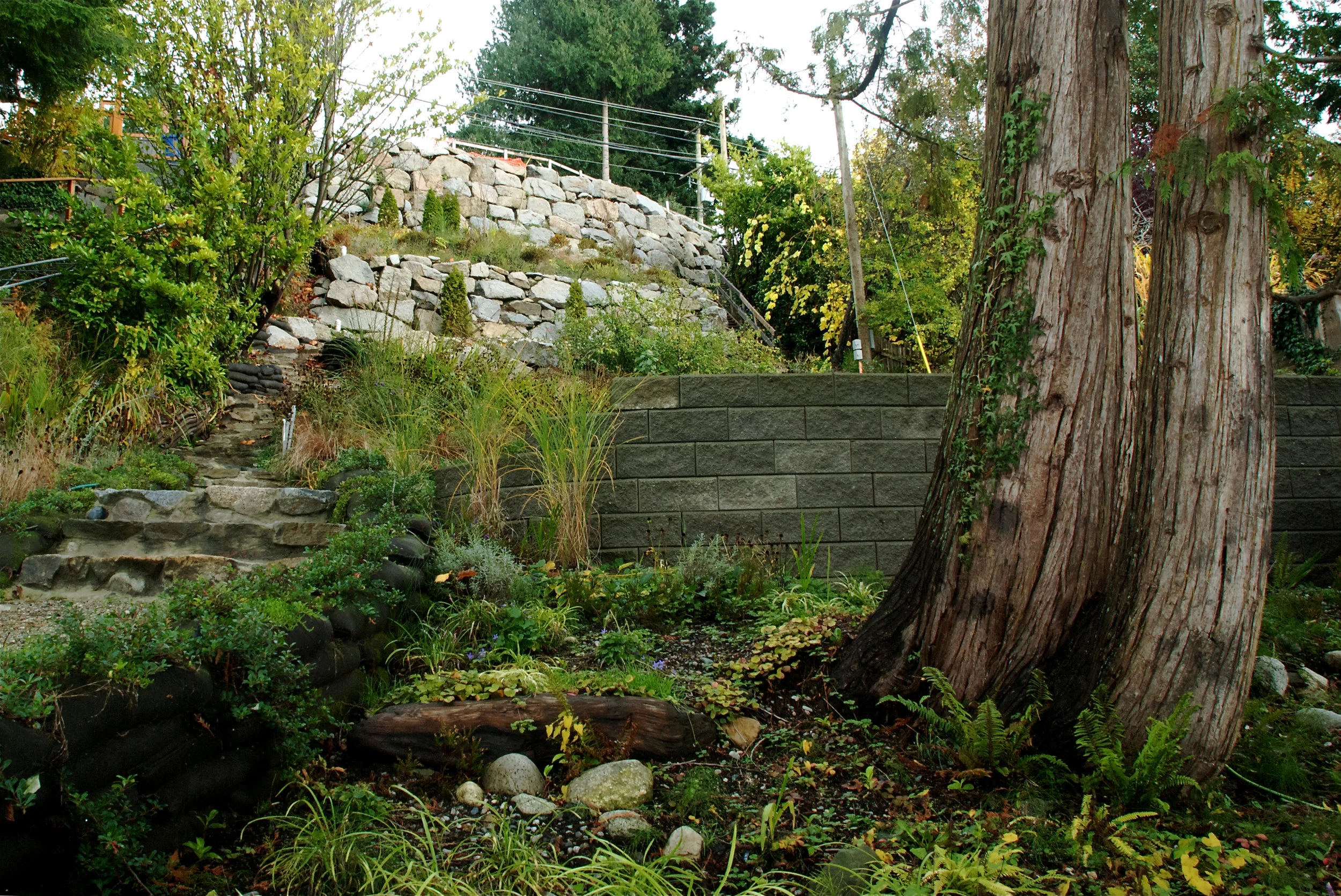 Reid+Pelly+Construction-+1st+shoot+(test)+-+11.jpg
