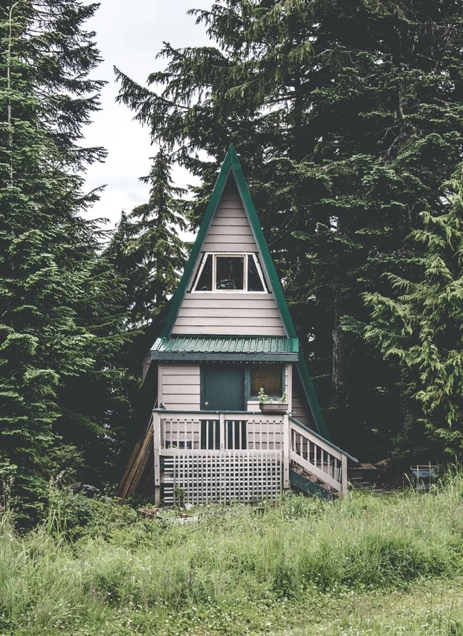house in woods.jpg