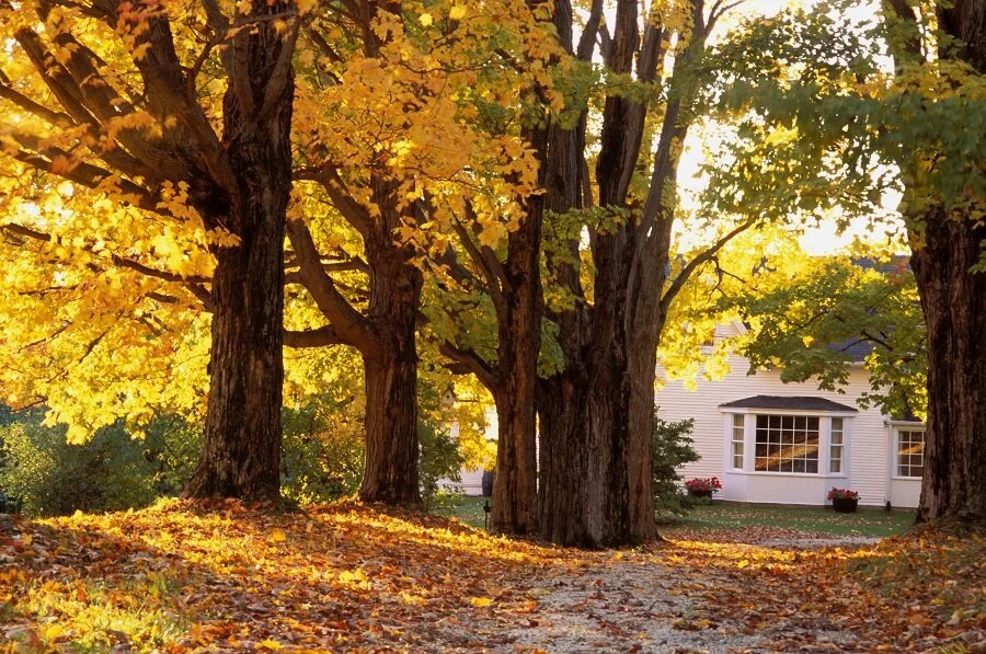 Simonton Windows & Perdue Builders wish you a Happy Autumn!