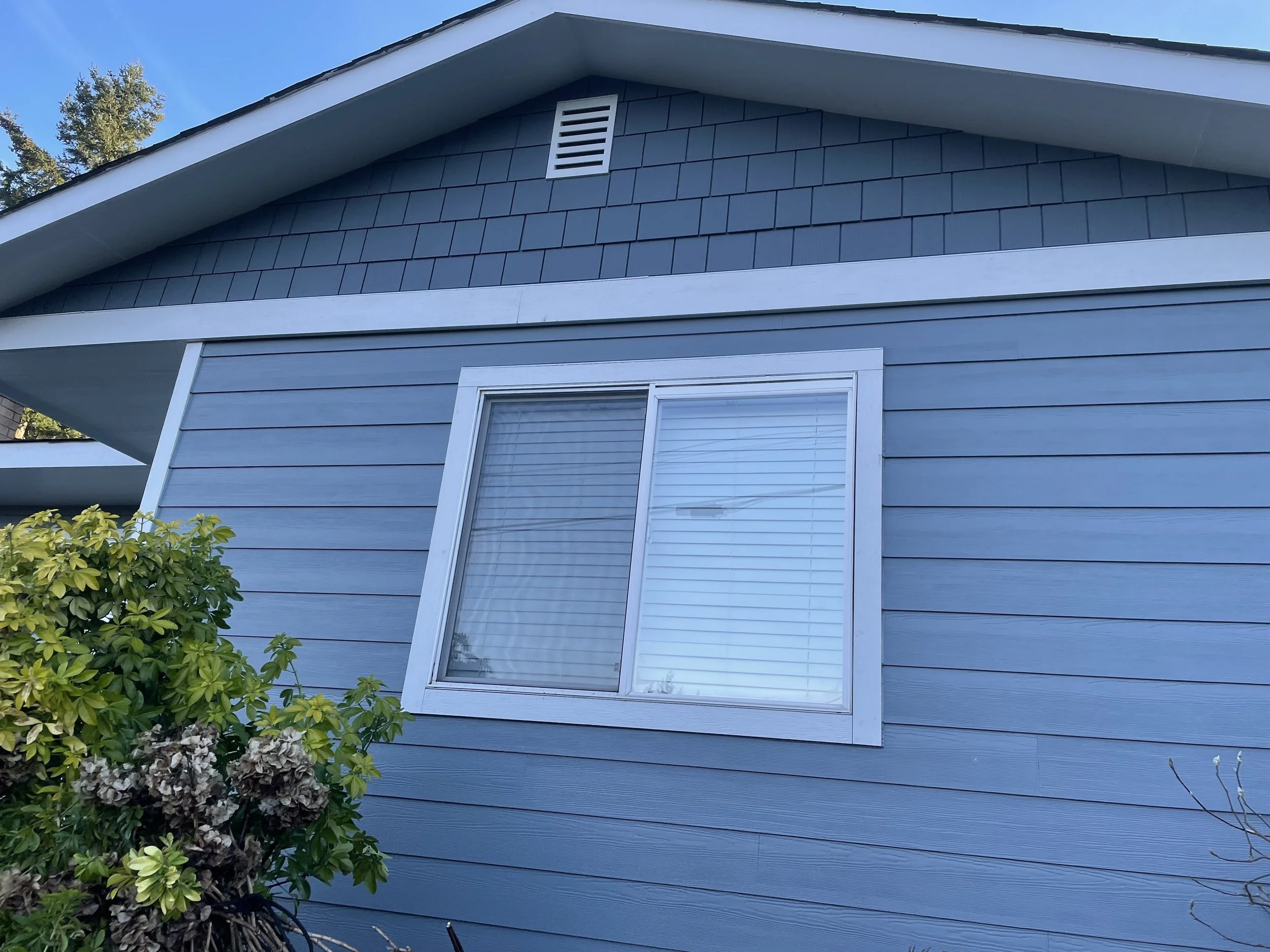 A house exterior featuring light blue horizontal lap siding with white trim around the windows and eaves. The gable section above the window is clad in dark blue square shingles, and there is a white attic vent at the top. A leafy green shrub is partially visible in the foreground.