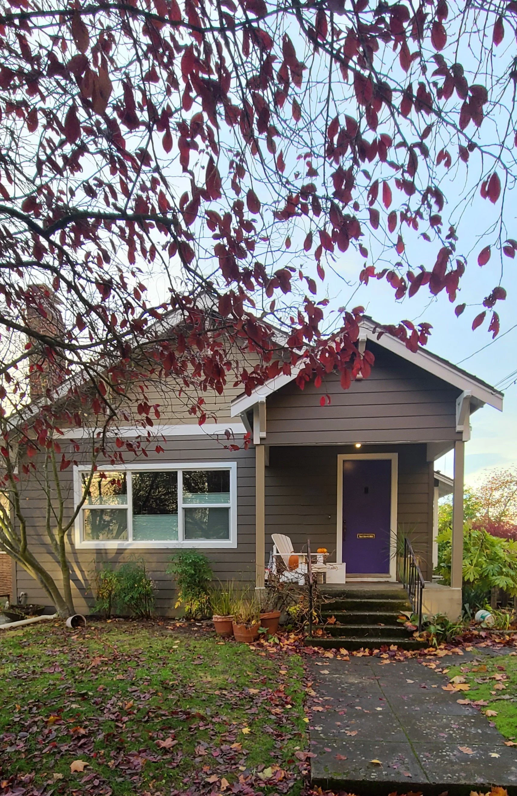 Charming craftsman-style home with dark brown horizontal siding, white-trimmed energy-efficient windows, and a bold purple front door, surrounded by vibrant fall foliage.