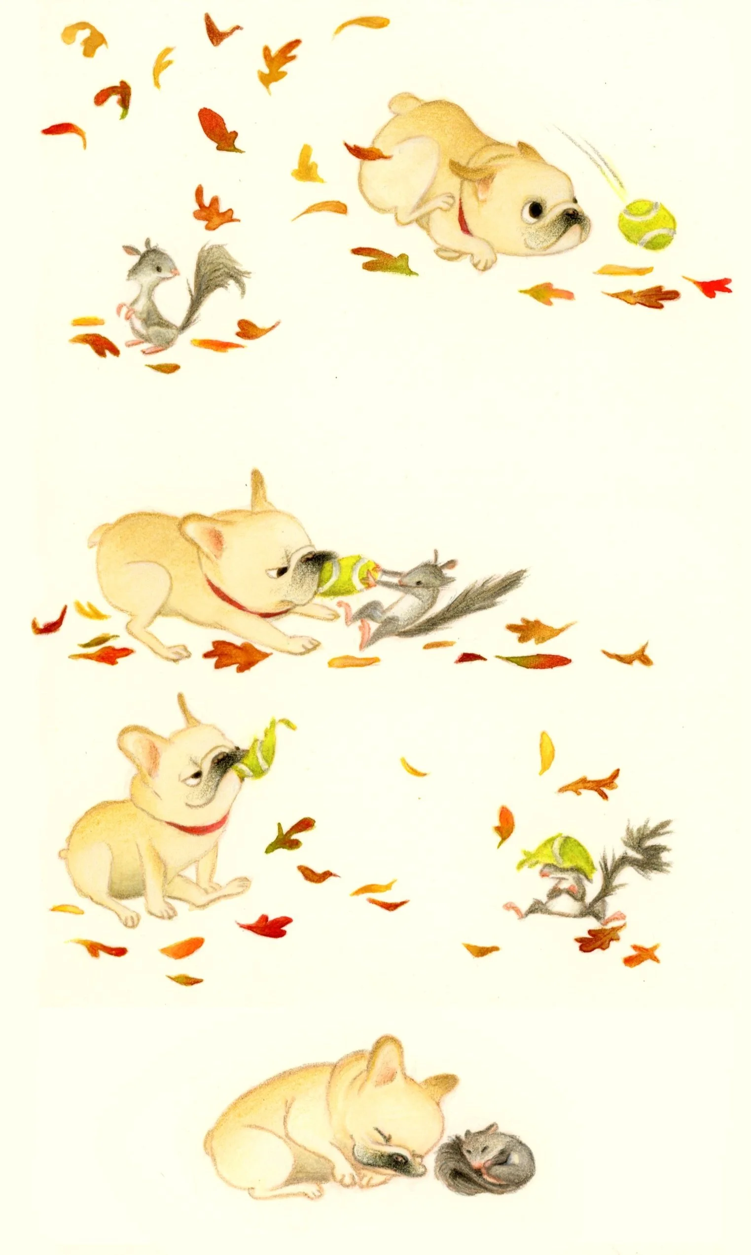 Frenchie+and+squirrel+copy.jpg