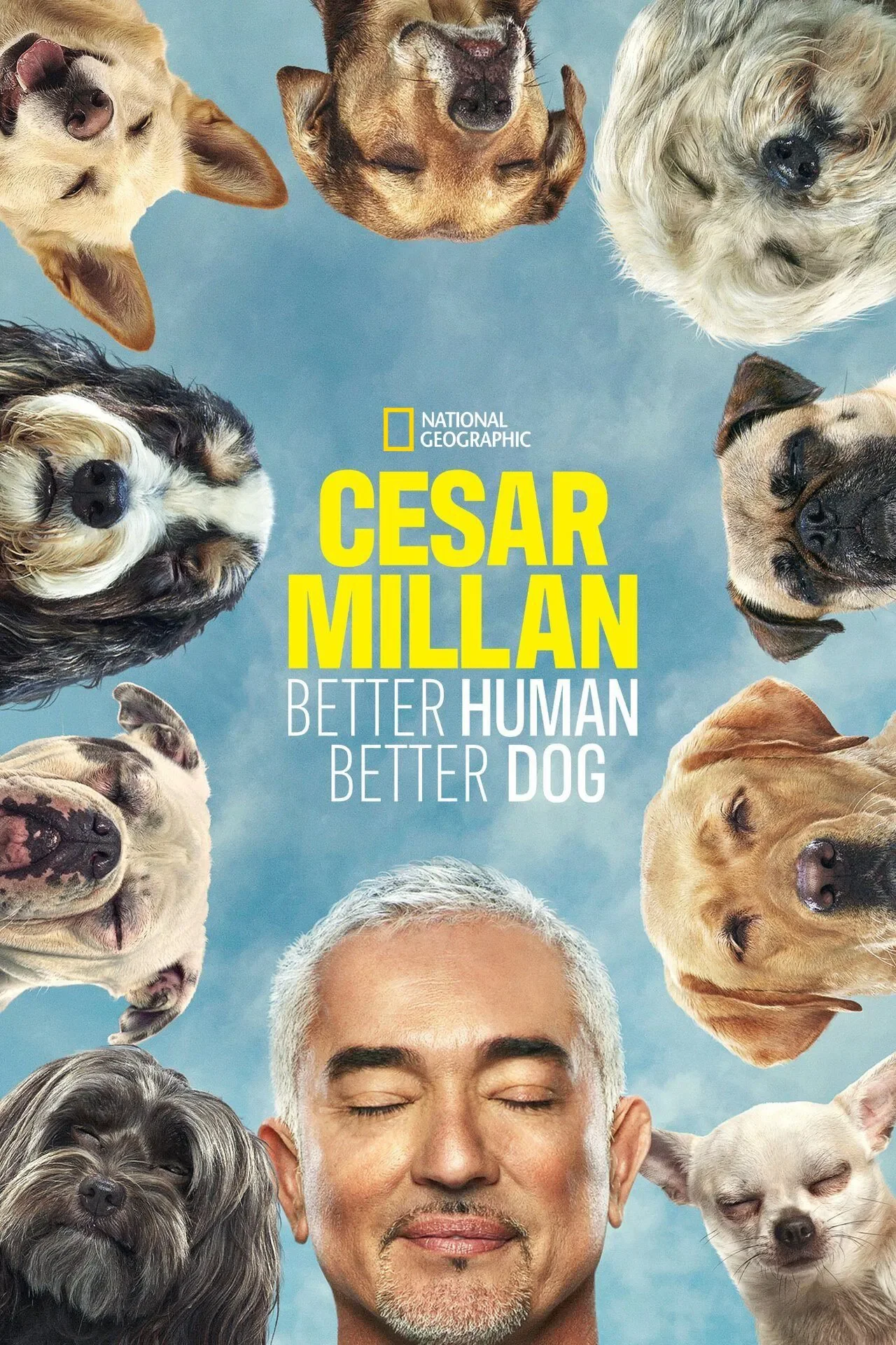 Cesar Millan.jpg.webp