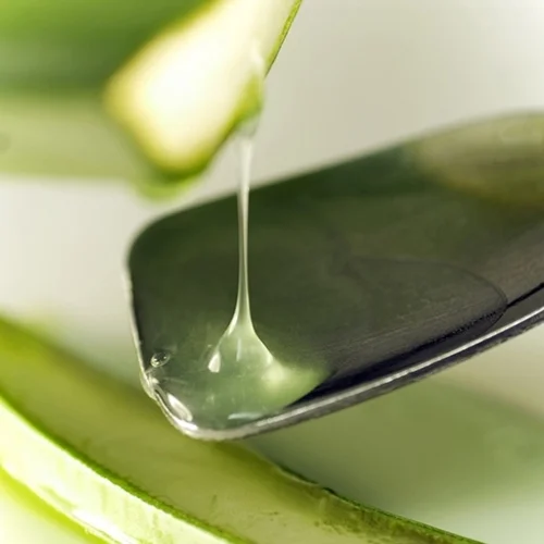 ALOE VERA Aloe barbadensis leaf extract Acts as an emollient to moisturise and hydrate. High levels of Vitamin E. Derived from the leaves of the aloe vera plant. Historically the plant has been used on the skin for healing and skin inflammation.
