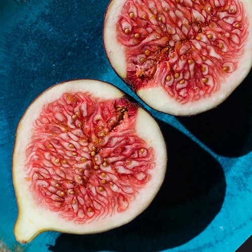 FIG Ficus carica fruit This natural extract is high in Vitamin A and beta-carotene, and is refreshing and soothing for the skin.