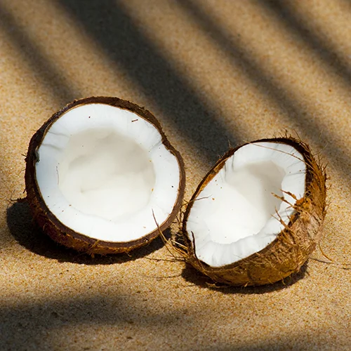 COCONUT Cocos nucifera Fruit Coconut acts as humectant and moisturises the skin.