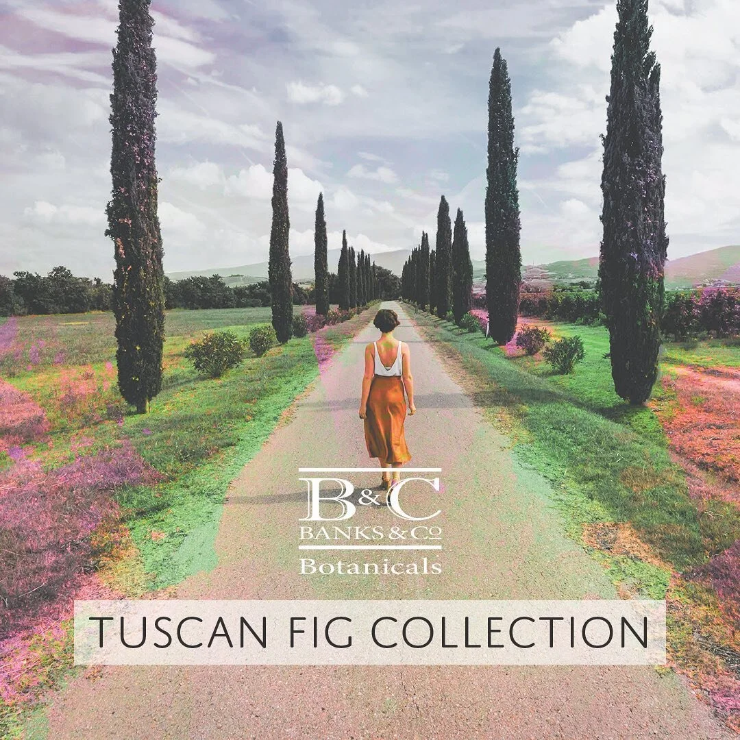 Since we can't travel at the moment, take your senses to Italy instead!
Our Tuscan Range is fragrant with exotic fig and honey notes. Treat yourself or a loved one to skincare enriched with Mānuka honey, Fig fruit extract, Shea and Cocoa seed butter, Olive, Sweet Almond, Jojoba, Wheatgerm, and Linseed oils. Layer your experience with scent from our reed-filled room diffuser.
SHOP NOW: Link in bio.

(Photo of San Quirico d'Orcia by @claybanks on Unsplash, altered.)

.
#banksandconz #madeinnz 🇳🇿 #madeinnz #madeinnewzealand #fig #tuscany #skincare #selfcare #fruit #travel #unsplash