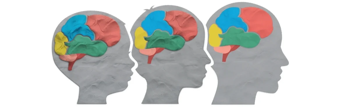 Development Involves Plasticity developmental change and plasticity lab