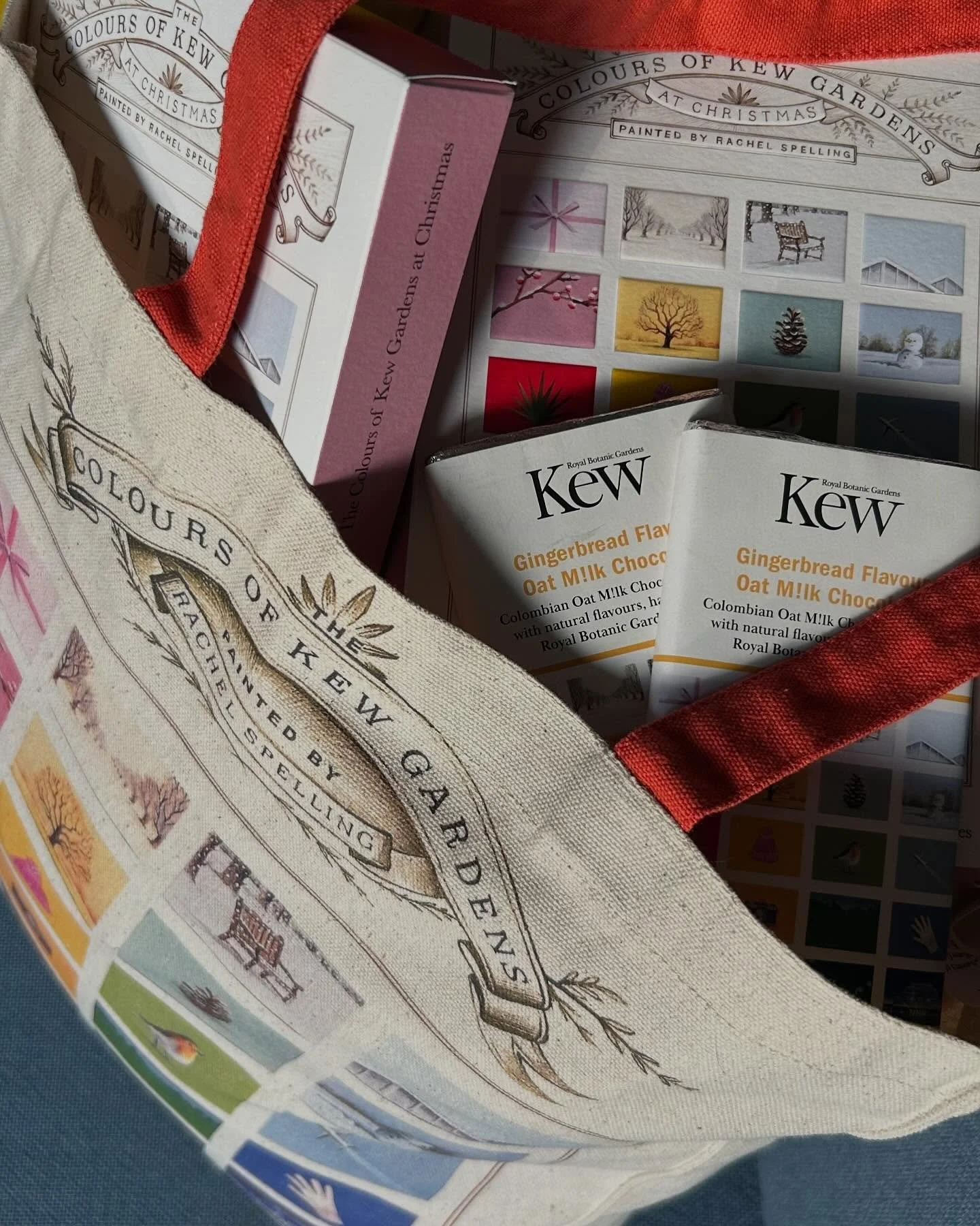 &ldquo;Where DID you get that bag?&rdquo; they cried and I said, &ldquo;Oh this one? This one is MY STUDIO SPELLING X KEW GARDENS TOTE, yes it is!!!&rdquo;💥

It&rsquo;s huge, it&rsquo;s super strong, it&rsquo;s got a bright red strap, it&rsquo;s &po