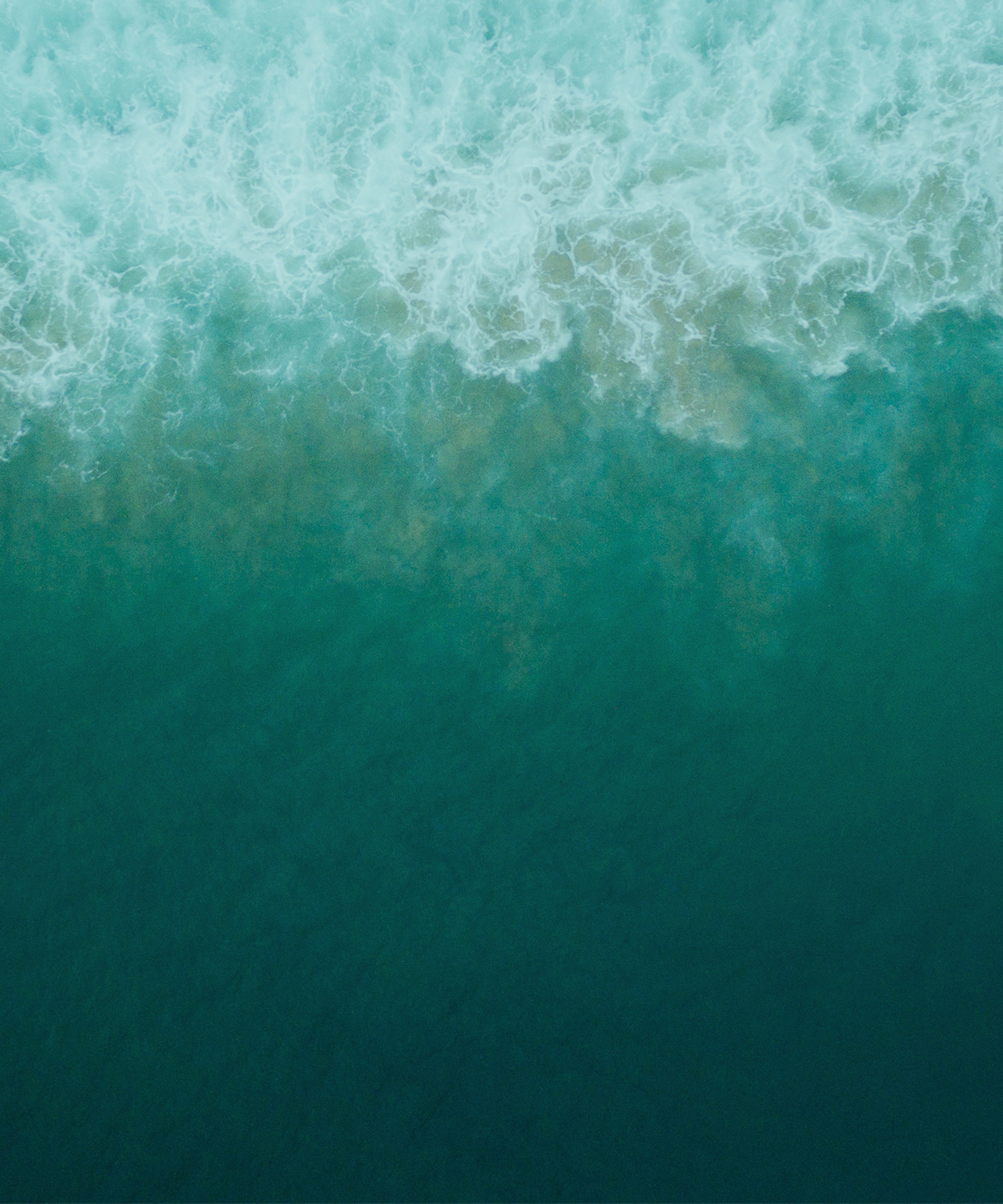 Shannon-Sondrol_background2.jpg